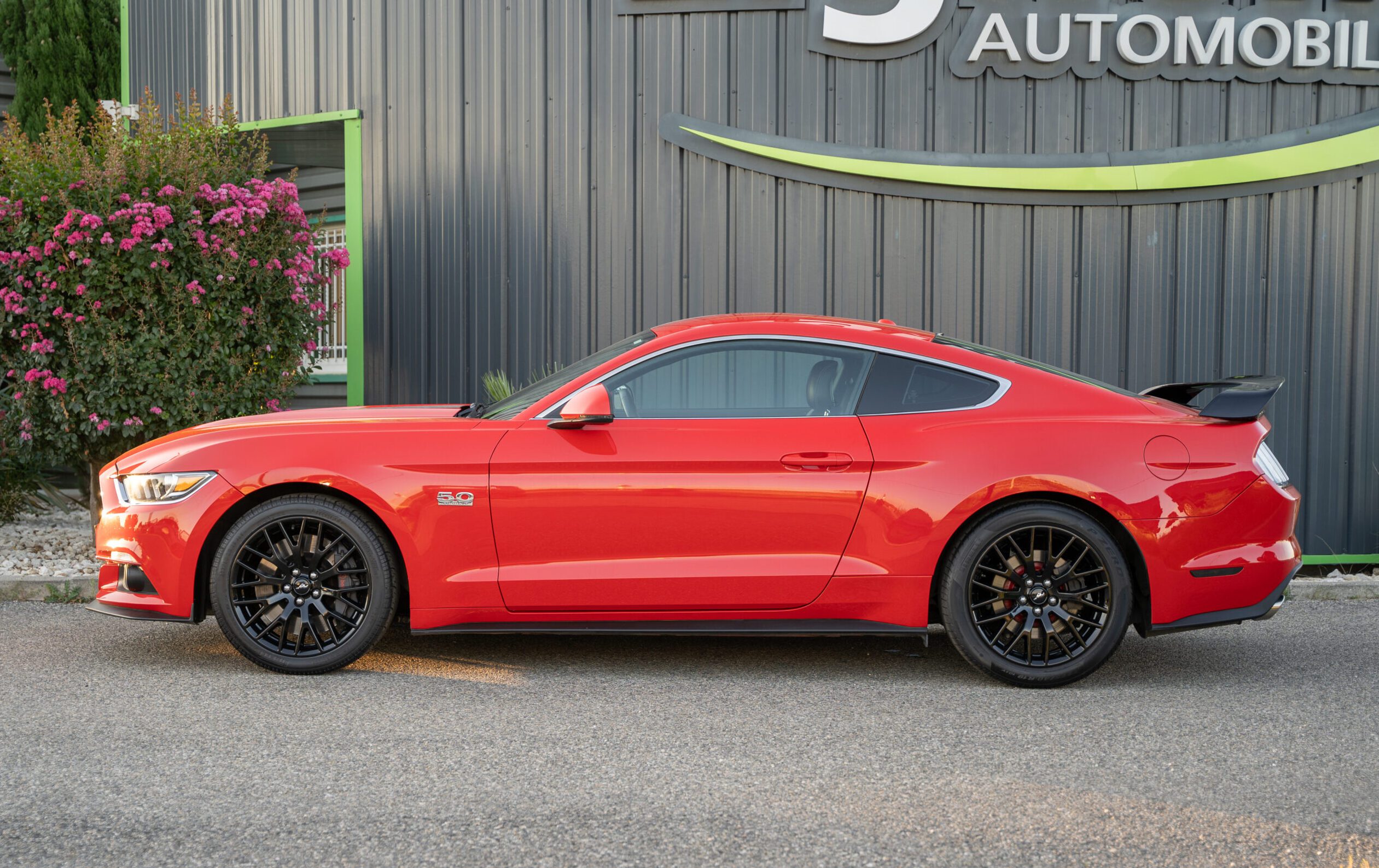 Photo FORD MUSTANG FASTBACK GT 5.0L V8 421 BVM6 