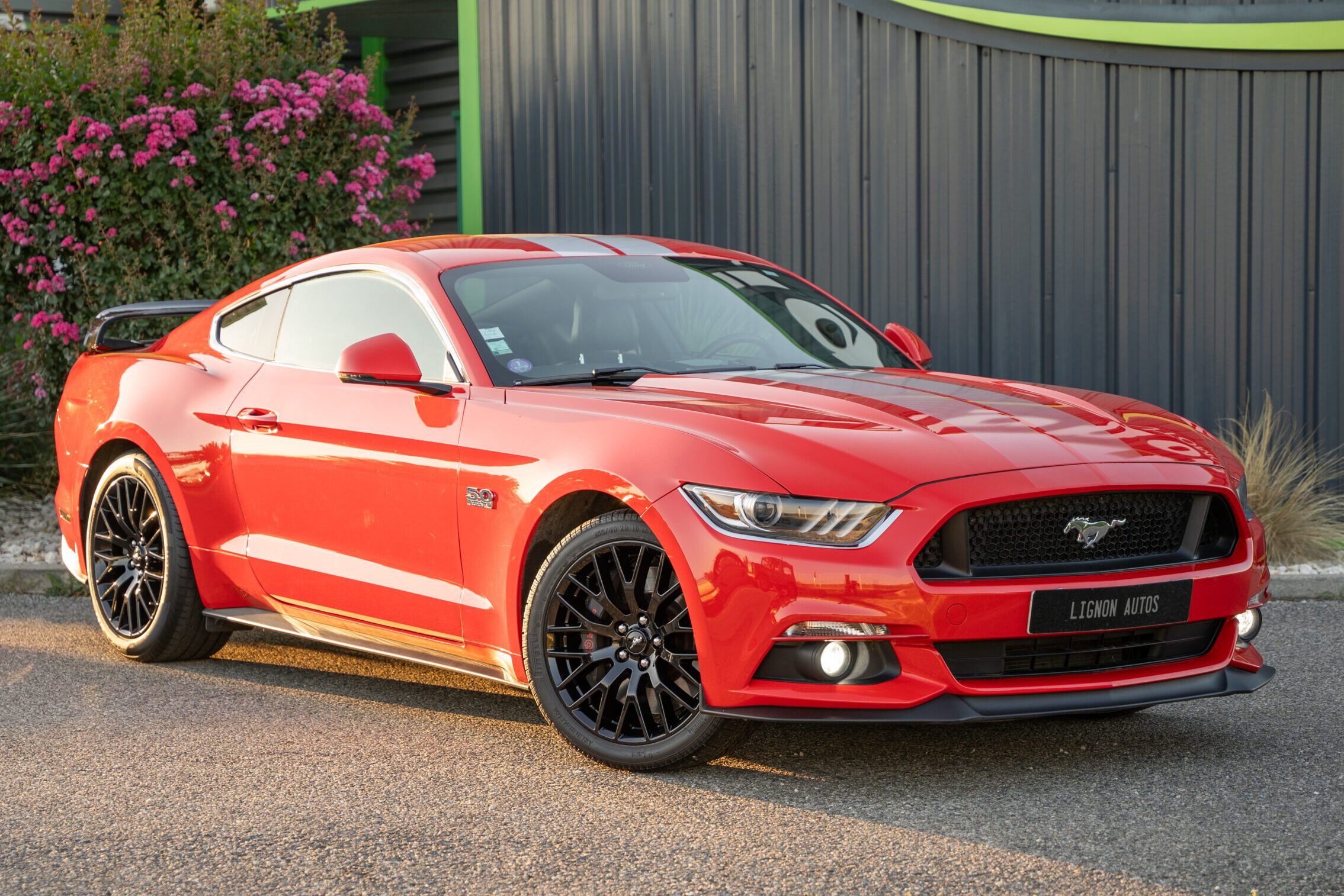 Photo FORD MUSTANG FASTBACK GT 5.0L V8 421 BVM6 