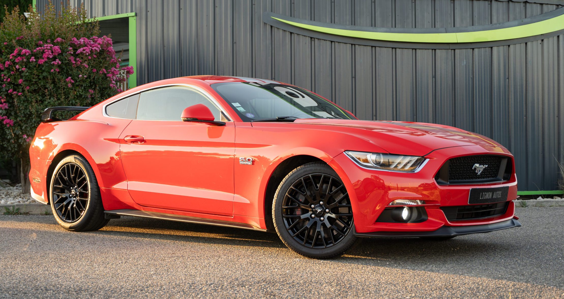 Photo FORD MUSTANG FASTBACK GT 5.0L V8 421 BVM6 