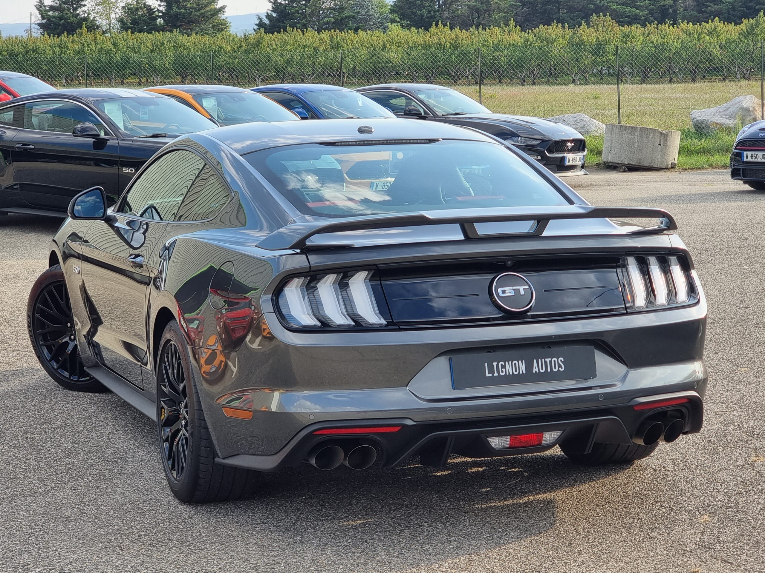Photo FORD MUSTANG FASTBACK GT 5.0L V8 450 BVA10 RECARO
