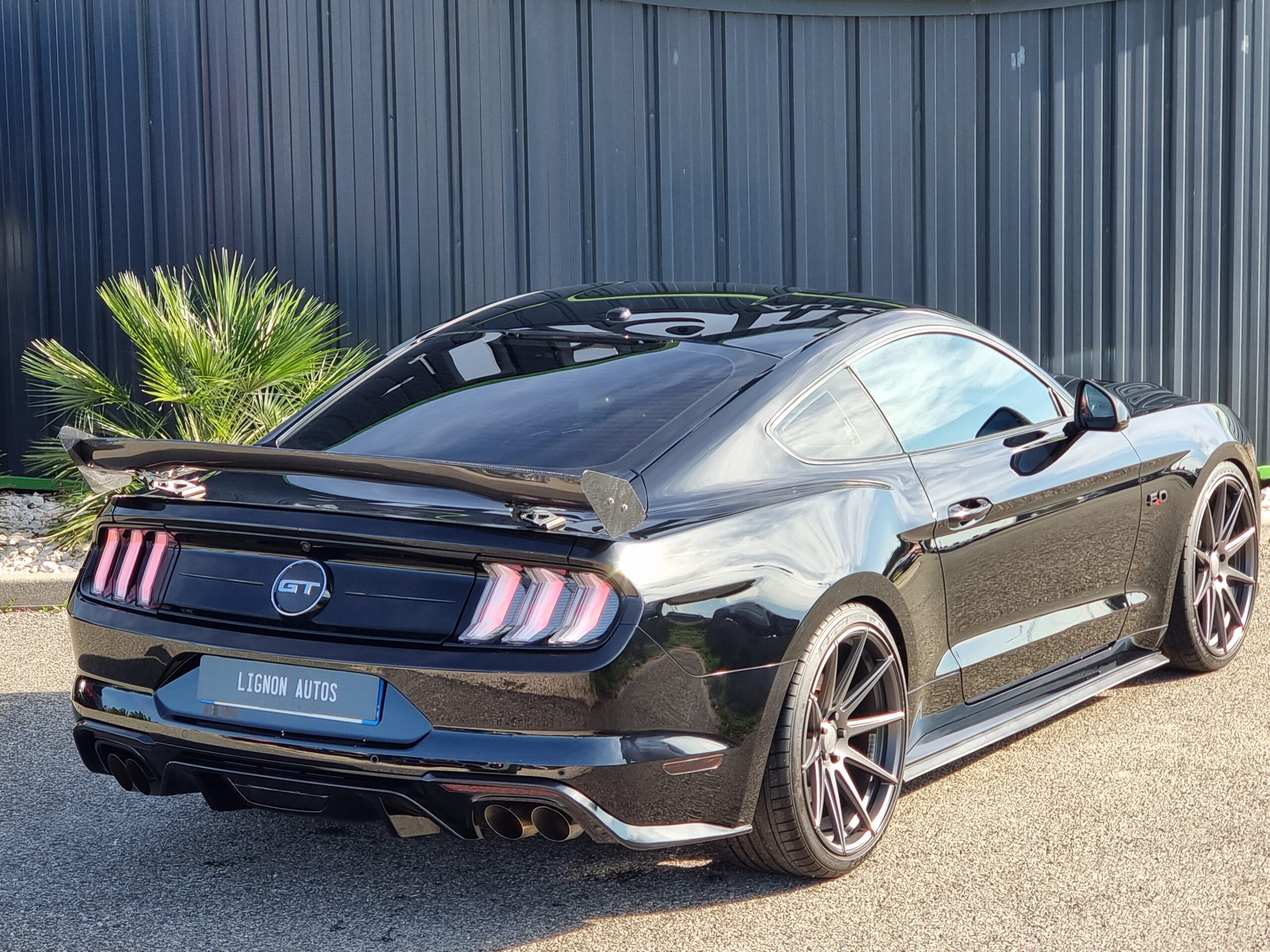 Photo FORD MUSTANG FASTBACK GT 5.0L V8 450 BVA10