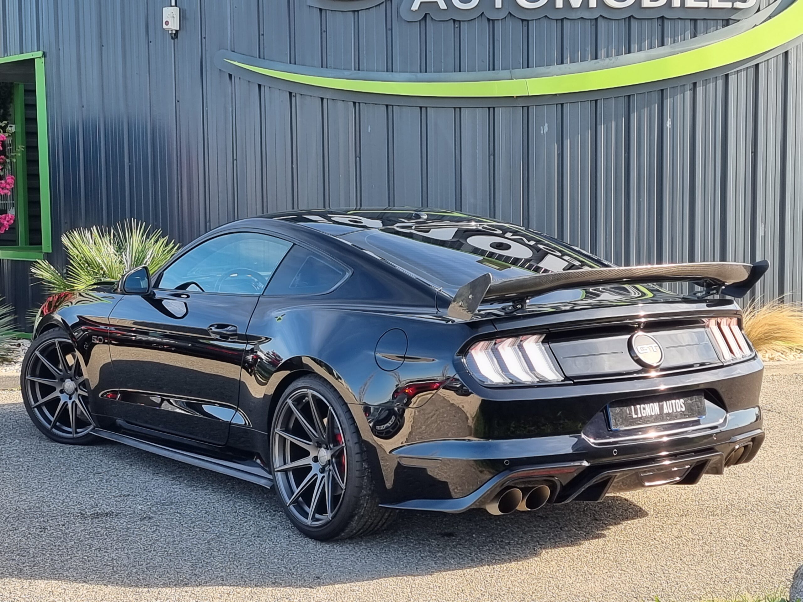 Photo FORD MUSTANG FASTBACK GT 5.0L V8 450 BVA10