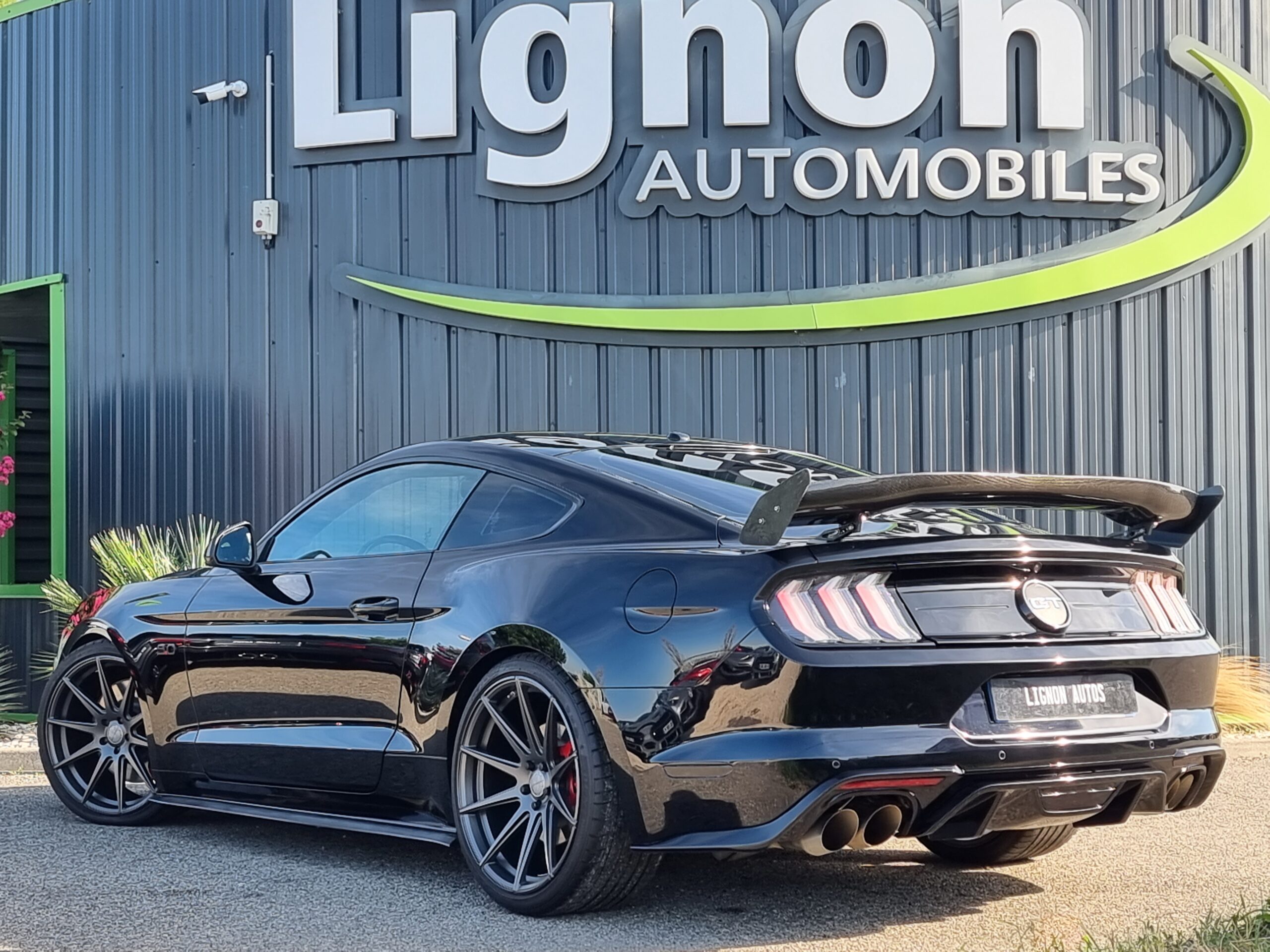 Photo FORD MUSTANG FASTBACK GT 5.0L V8 450 BVA10