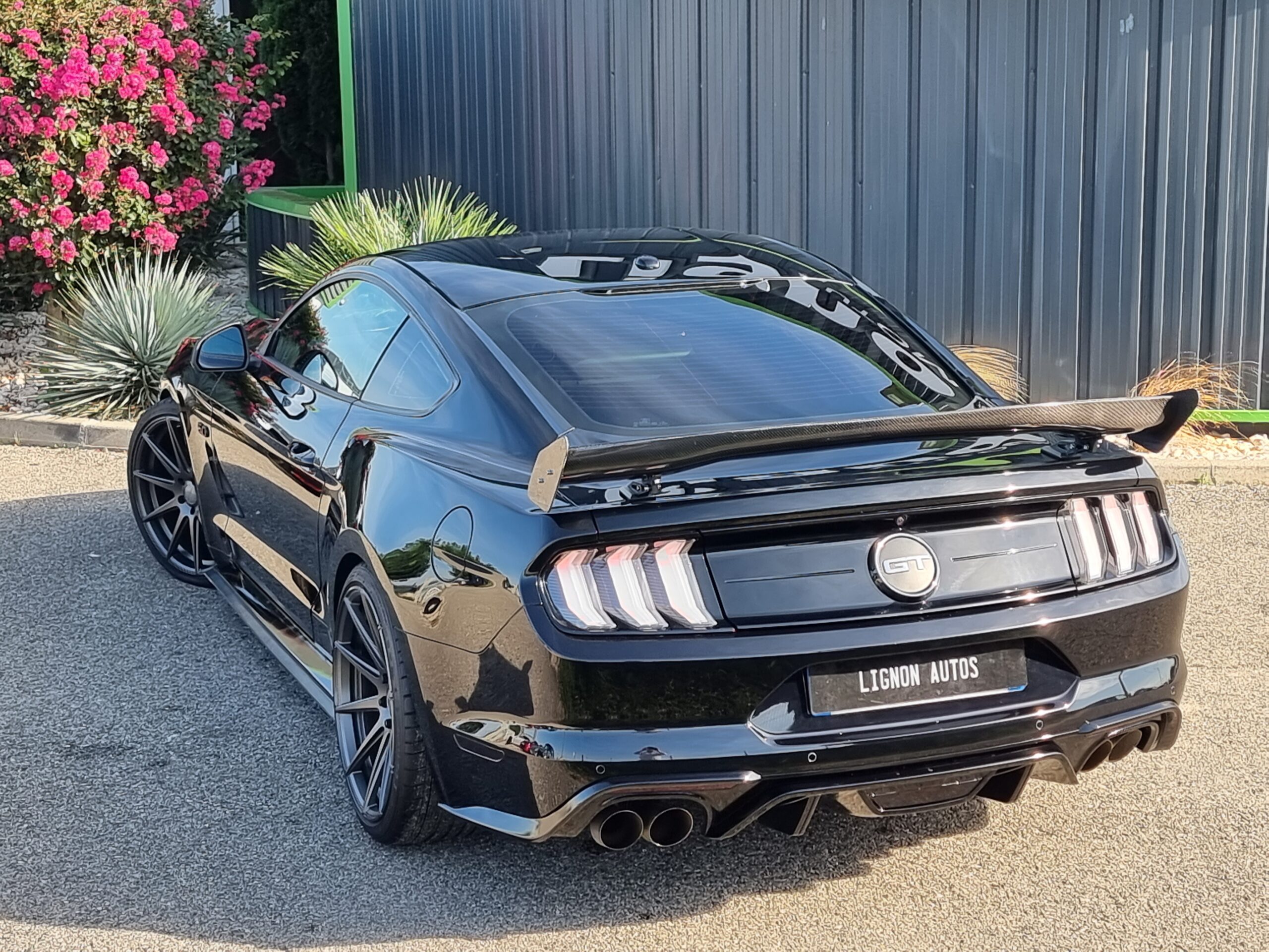 Photo FORD MUSTANG FASTBACK GT 5.0L V8 450 BVA10