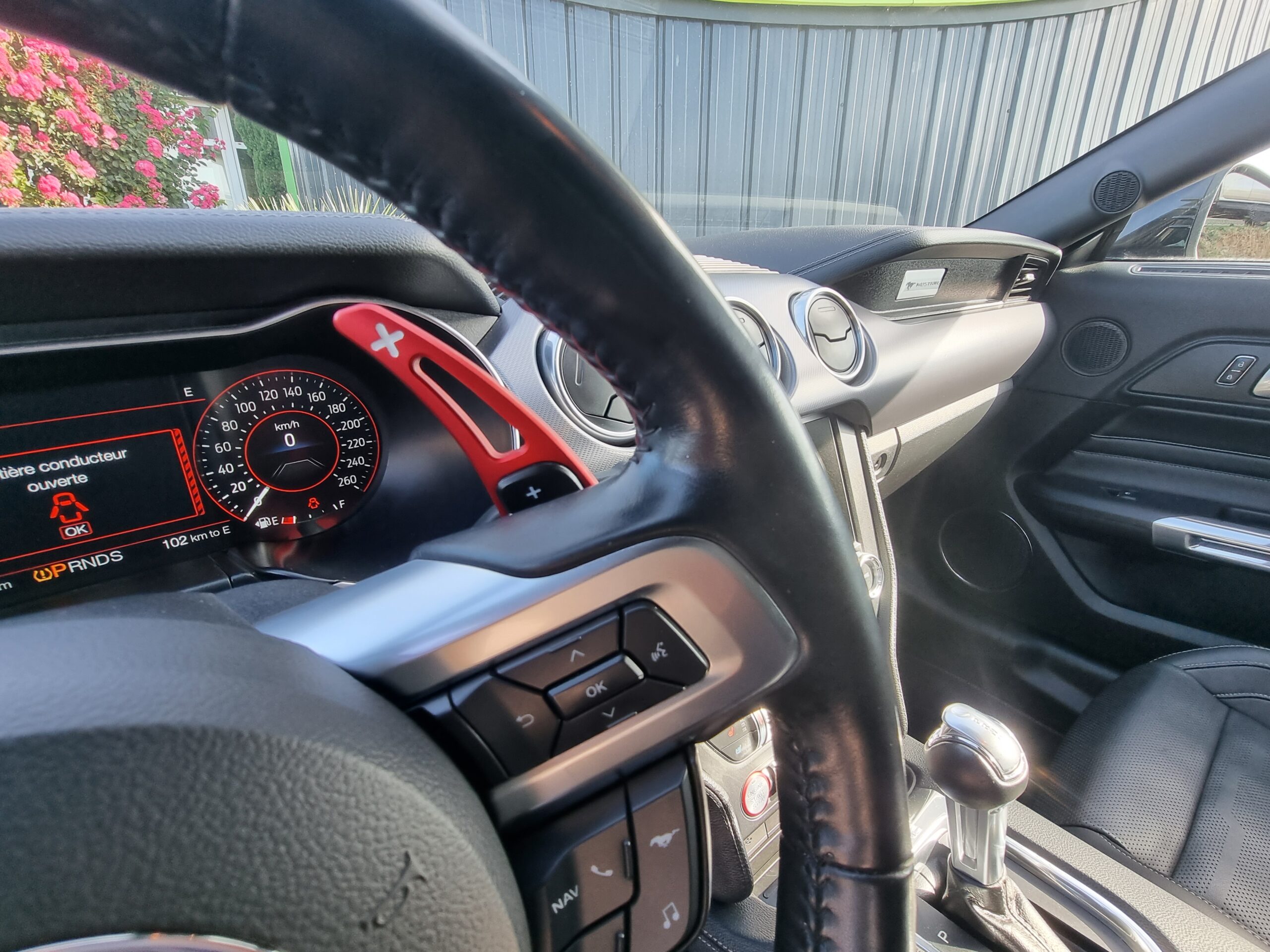 Photo FORD MUSTANG FASTBACK GT 5.0L V8 450 BVA10