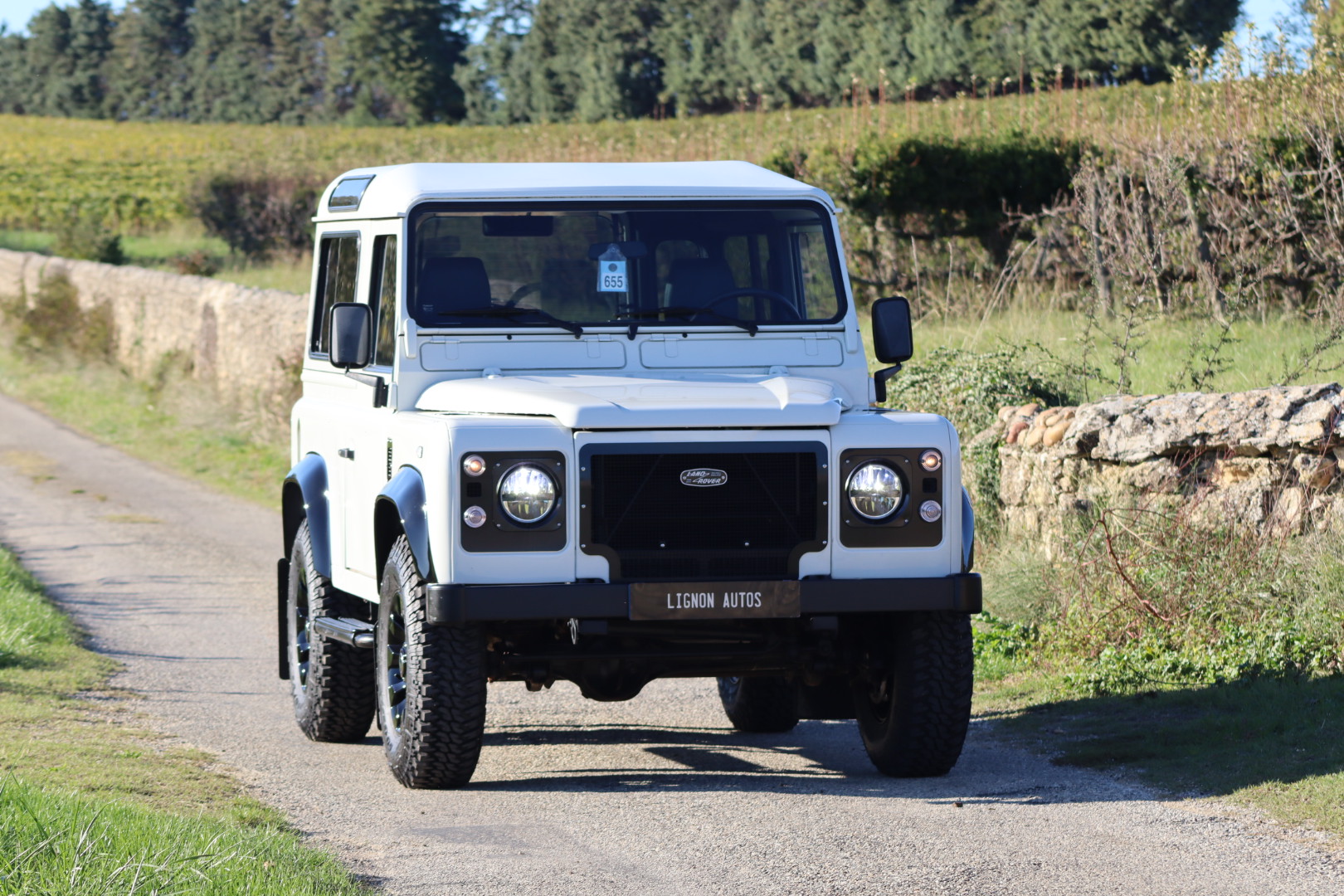 Photo DEFENDER 90 TD5 SW 6 PLACES