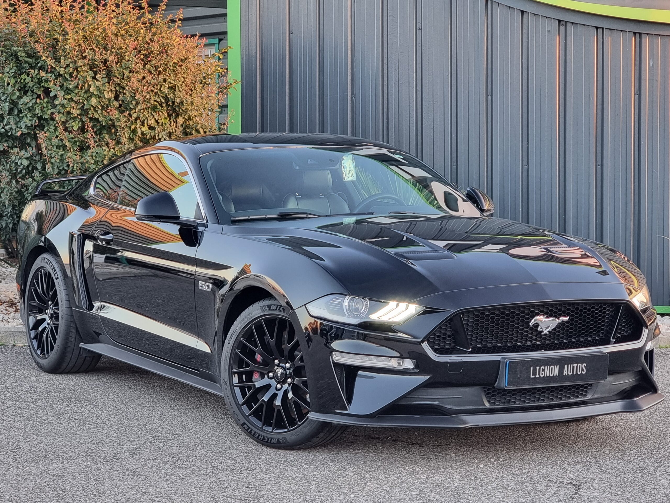 Photo FORD MUSTANG FASTBACK GT 5.0L V8 450 BVA10 PREMIUM