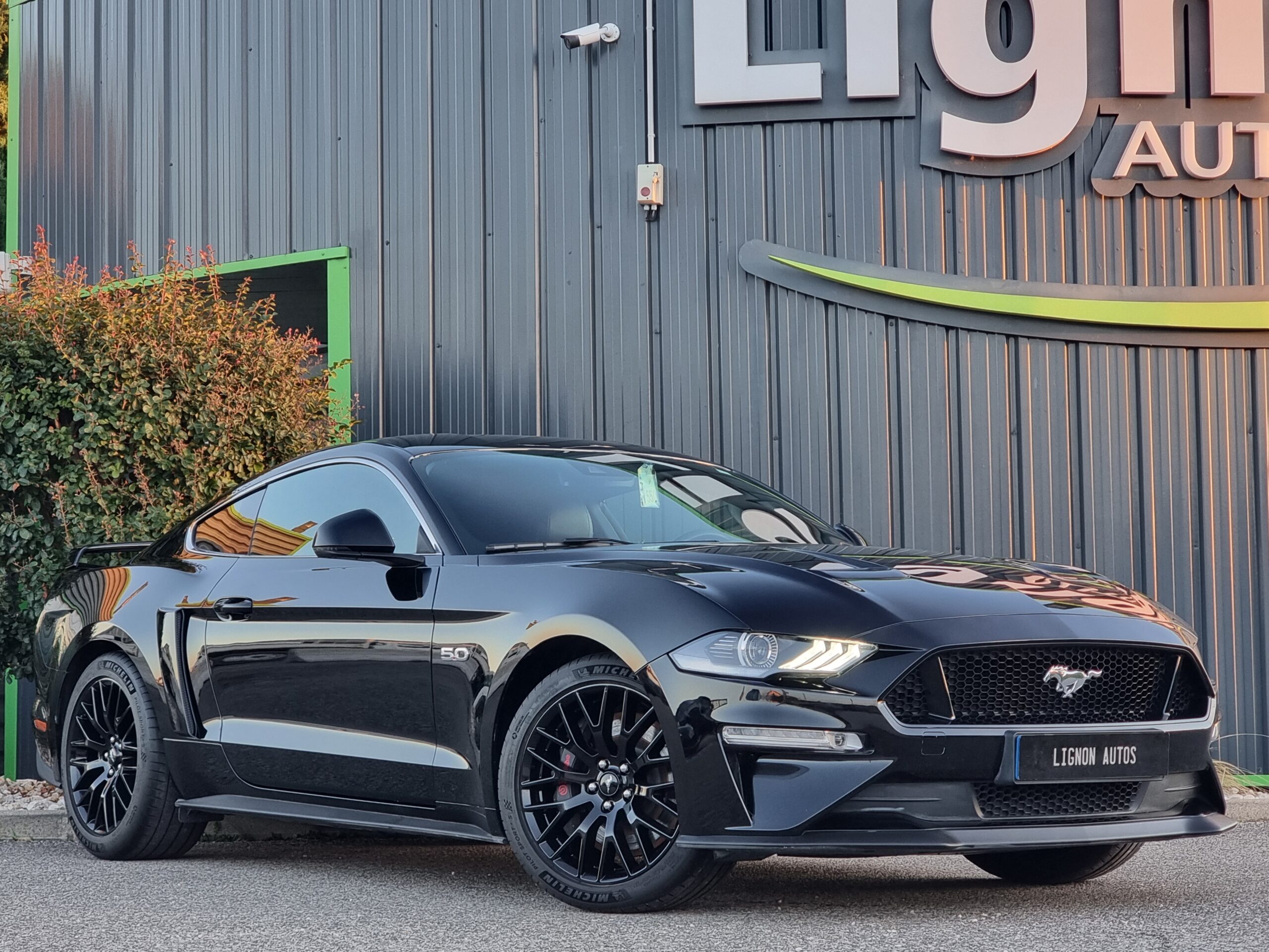 Photo FORD MUSTANG FASTBACK GT 5.0L V8 450 BVA10 PREMIUM