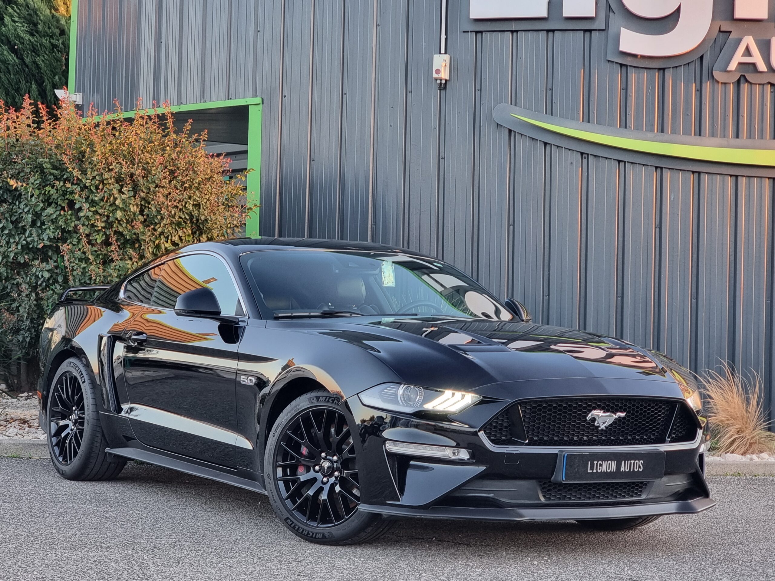 Photo FORD MUSTANG FASTBACK GT 5.0L V8 450 BVA10 PREMIUM