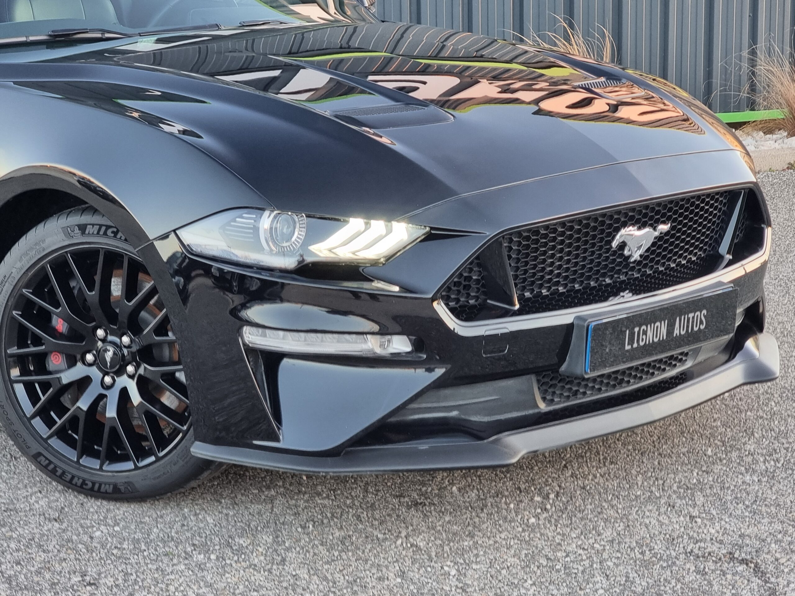 Photo FORD MUSTANG FASTBACK GT 5.0L V8 450 BVA10 PREMIUM