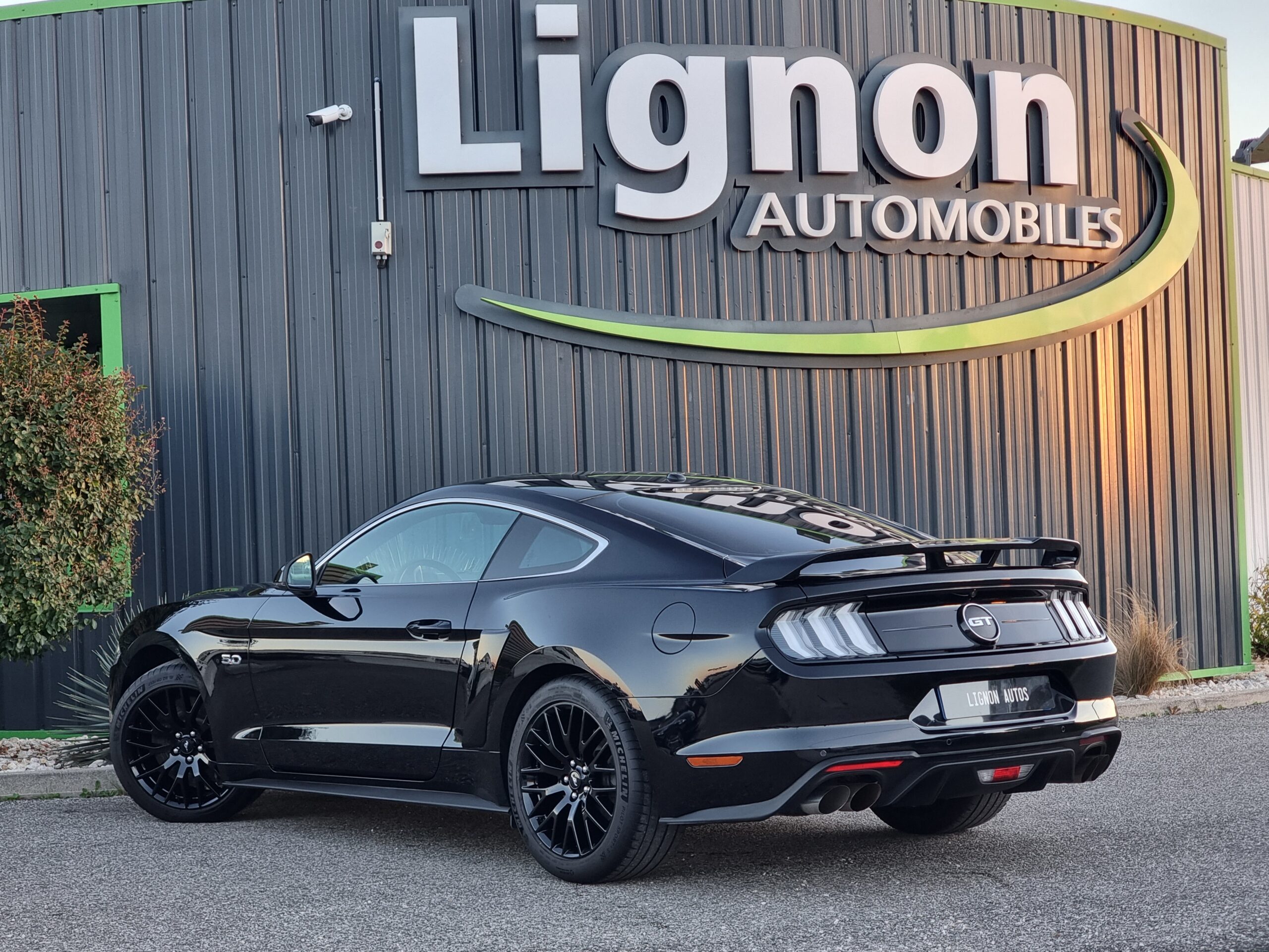 Photo FORD MUSTANG FASTBACK GT 5.0L V8 450 BVA10 PREMIUM
