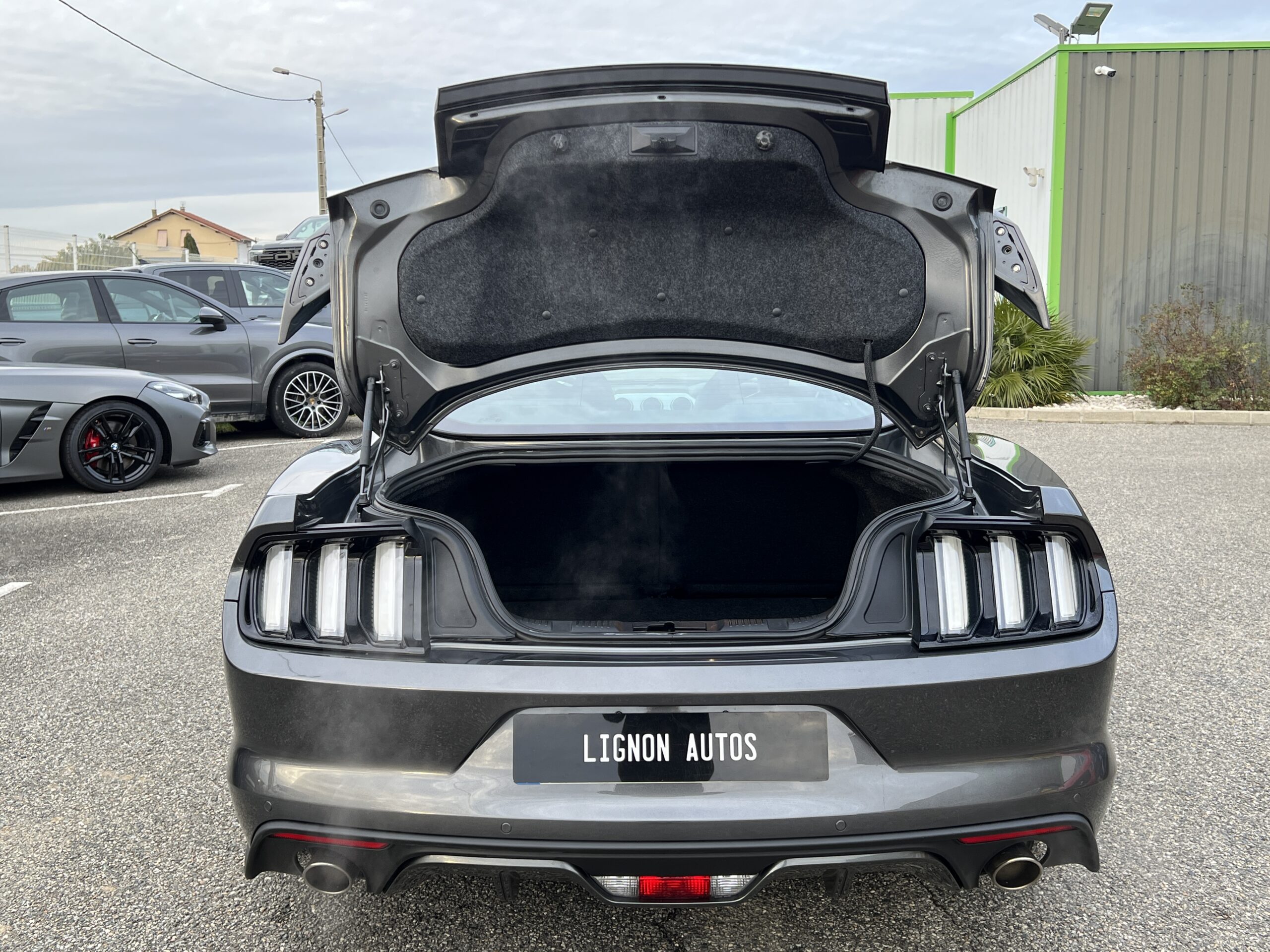 Photo FORD MUSTANG FASTBACK GT 5.0L V8 421 BVA RECARO