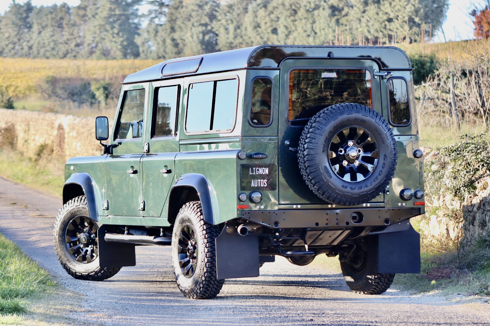 Photo LAND ROVER DEFENDER 2.4 TD4 SW 5 PLACES
