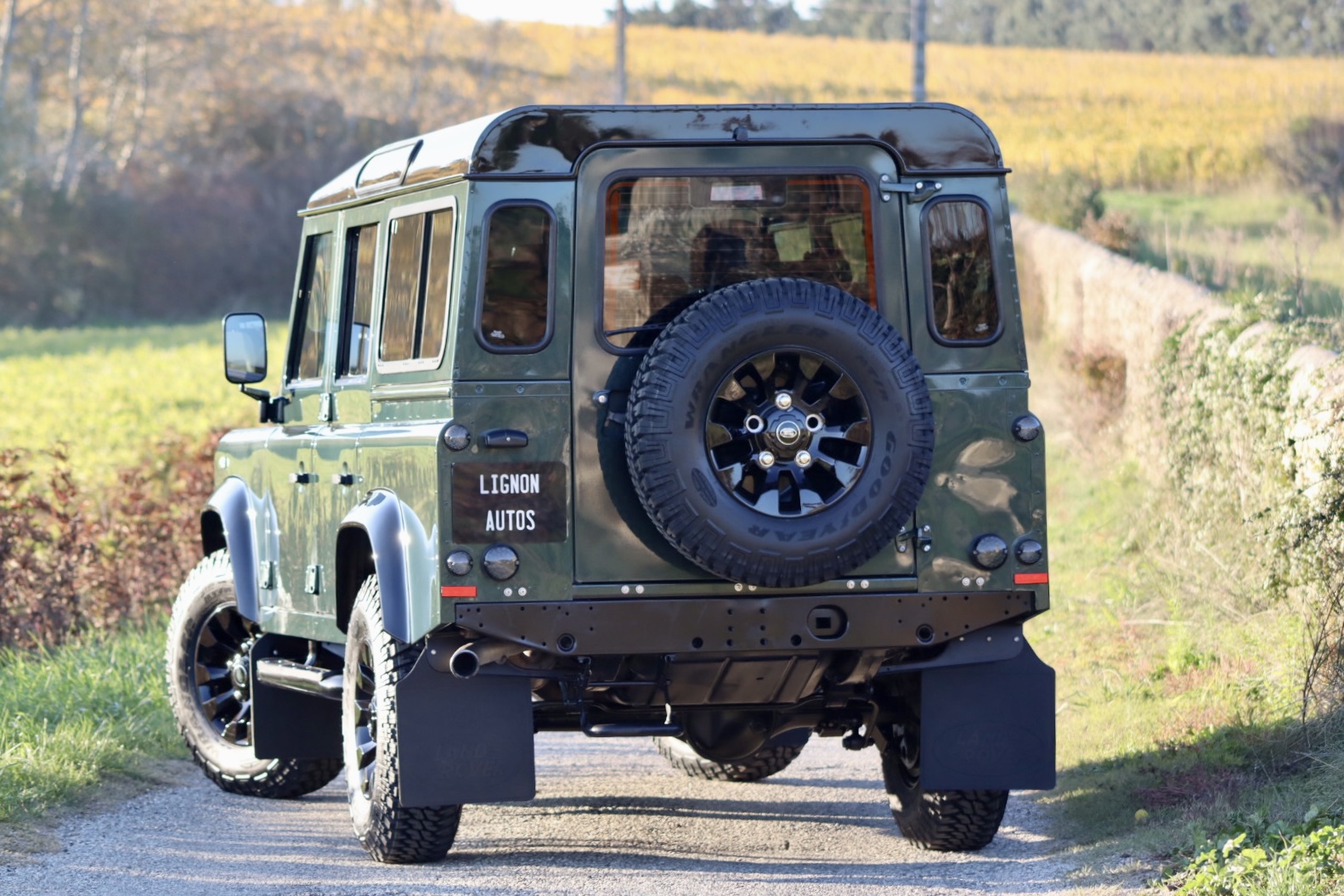 Photo LAND ROVER DEFENDER 2.4 TD4 SW 5 PLACES