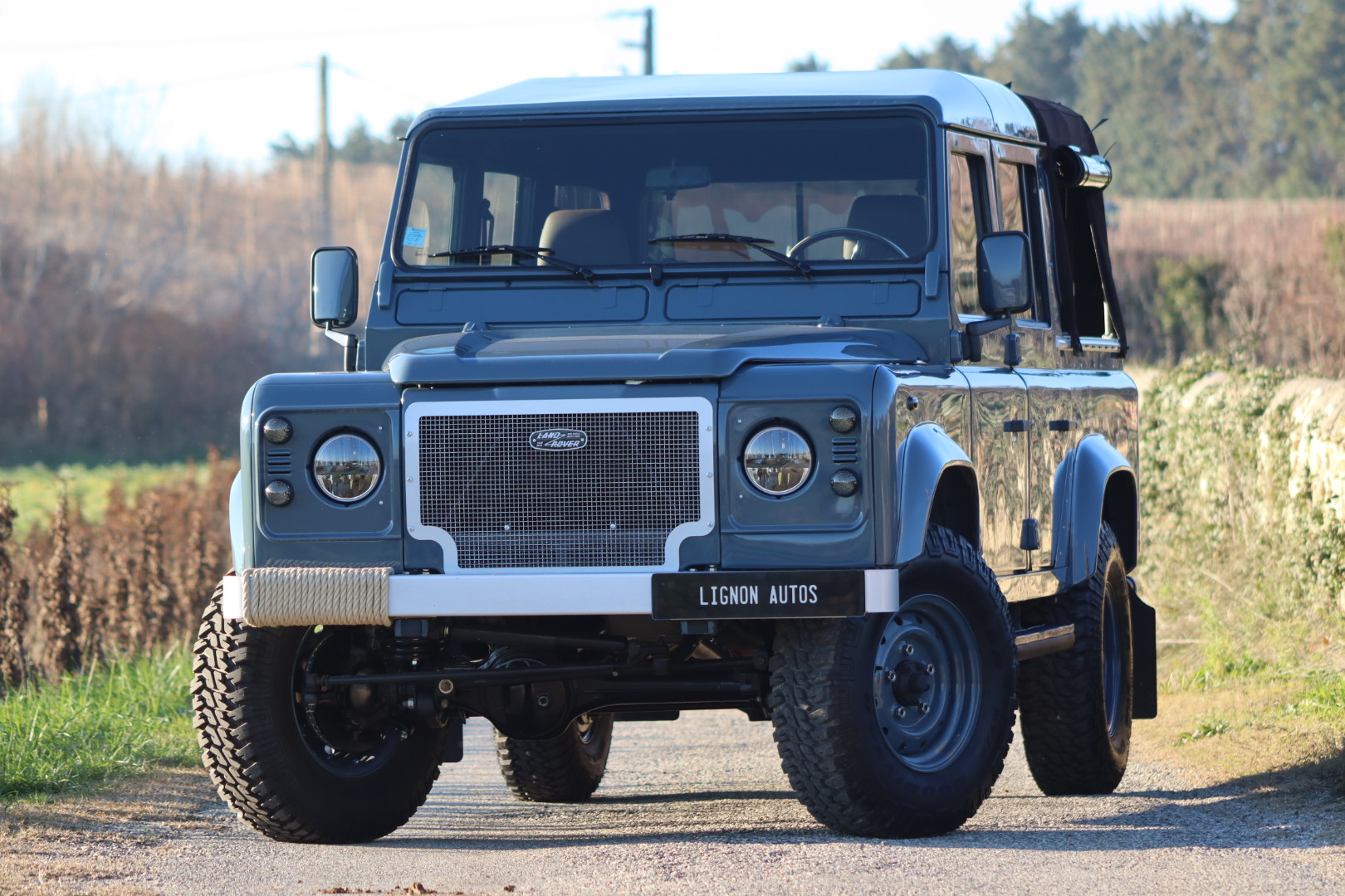 Photo DEFENDER 110 TD5 CREW CAB R.A.F. BLUE 5 PLACES