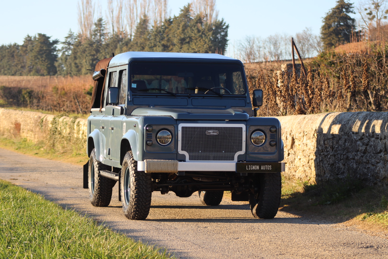 Photo DEFENDER 110 TD5 CREW CAB R.A.F. BLUE 5 PLACES