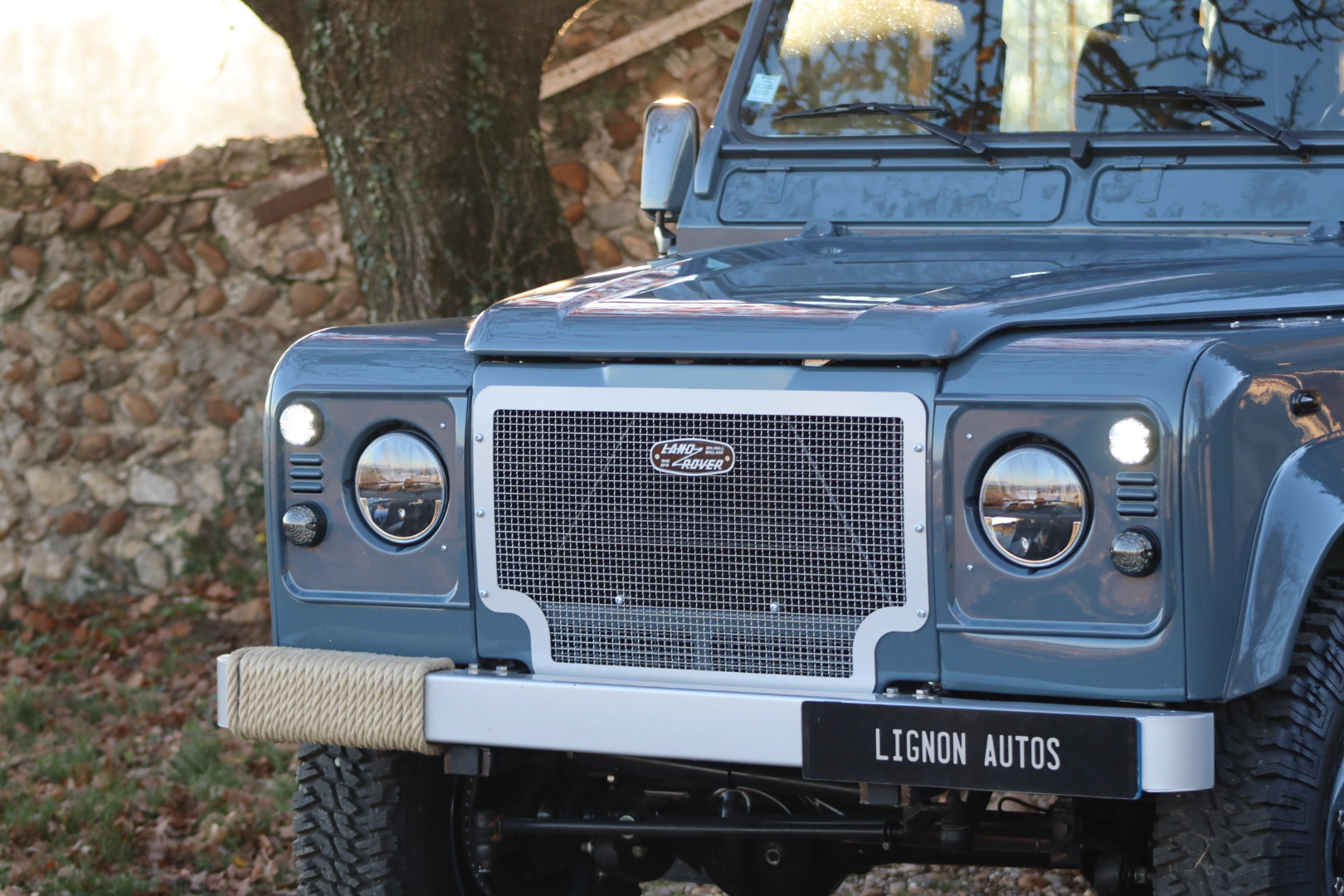Photo DEFENDER 110 TD5 CREW CAB R.A.F. BLUE 5 PLACES