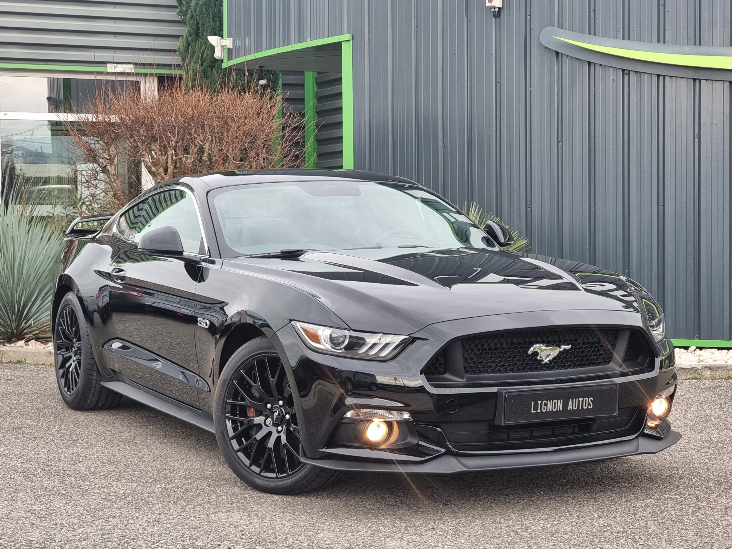 Photo FORD MUSTANG FASTBACK GT 5.0L V8 421 BVA PREMIUM