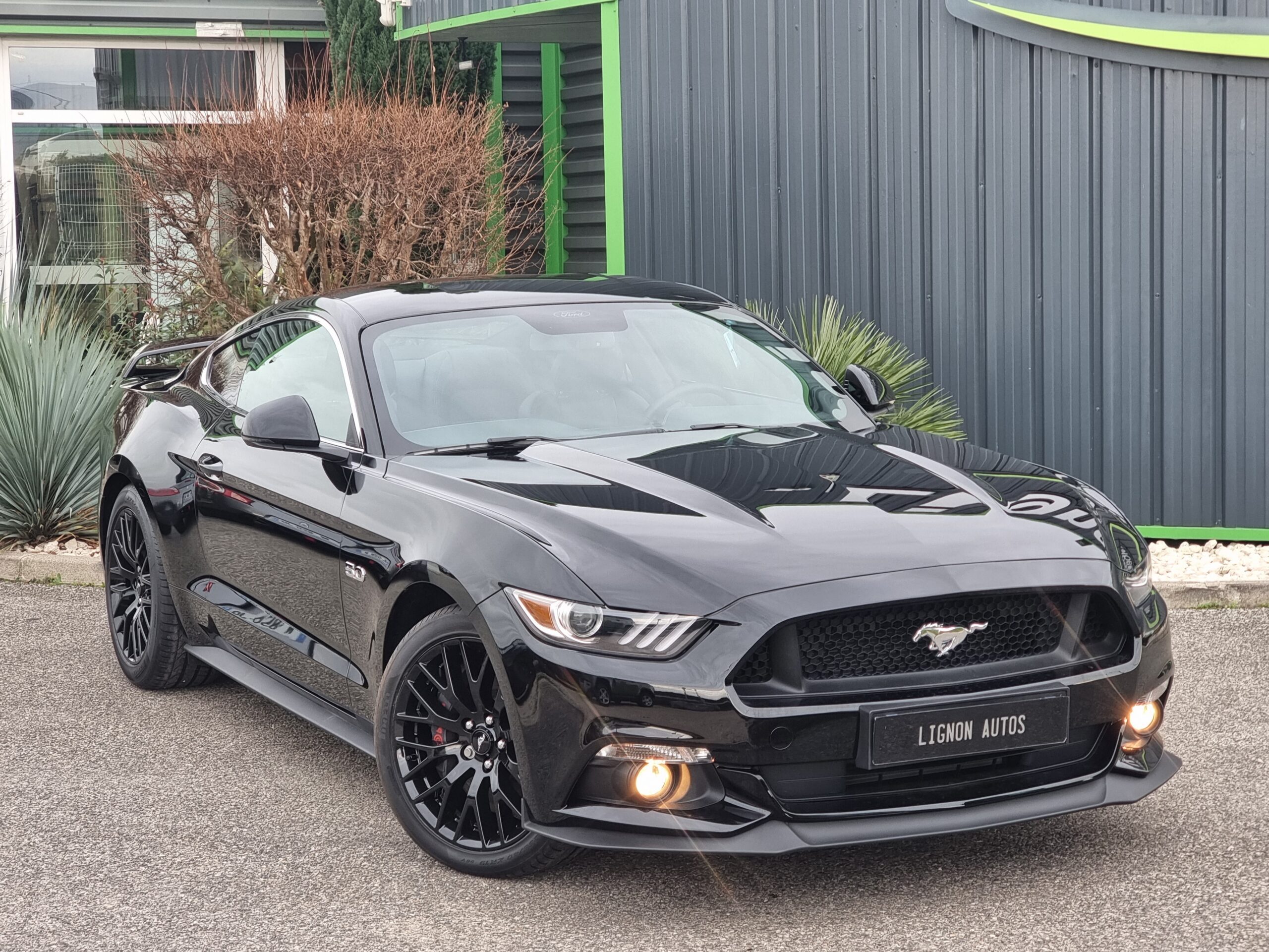 Photo FORD MUSTANG FASTBACK GT 5.0L V8 421 BVA PREMIUM