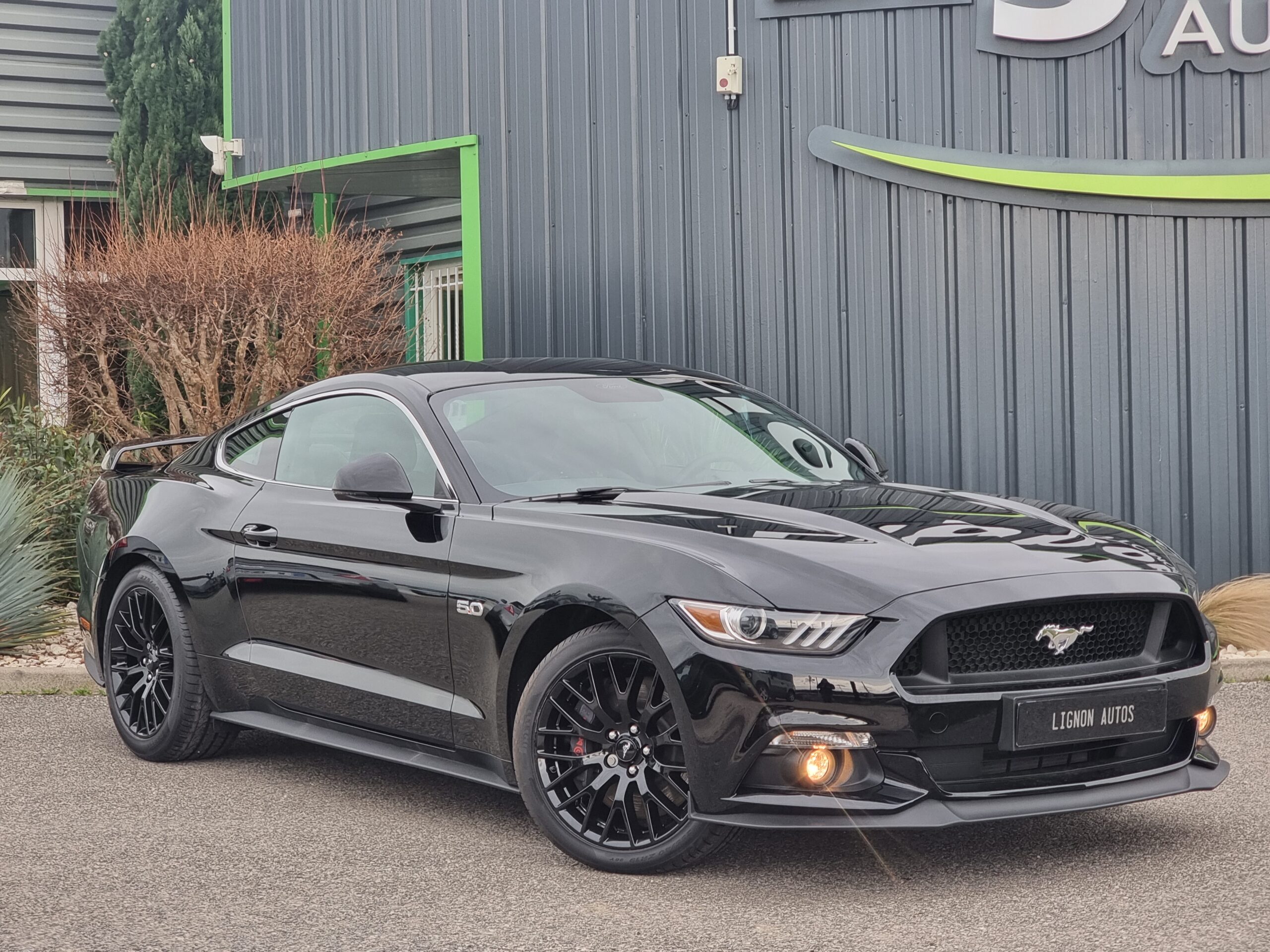 Photo FORD MUSTANG FASTBACK GT 5.0L V8 421 BVA PREMIUM