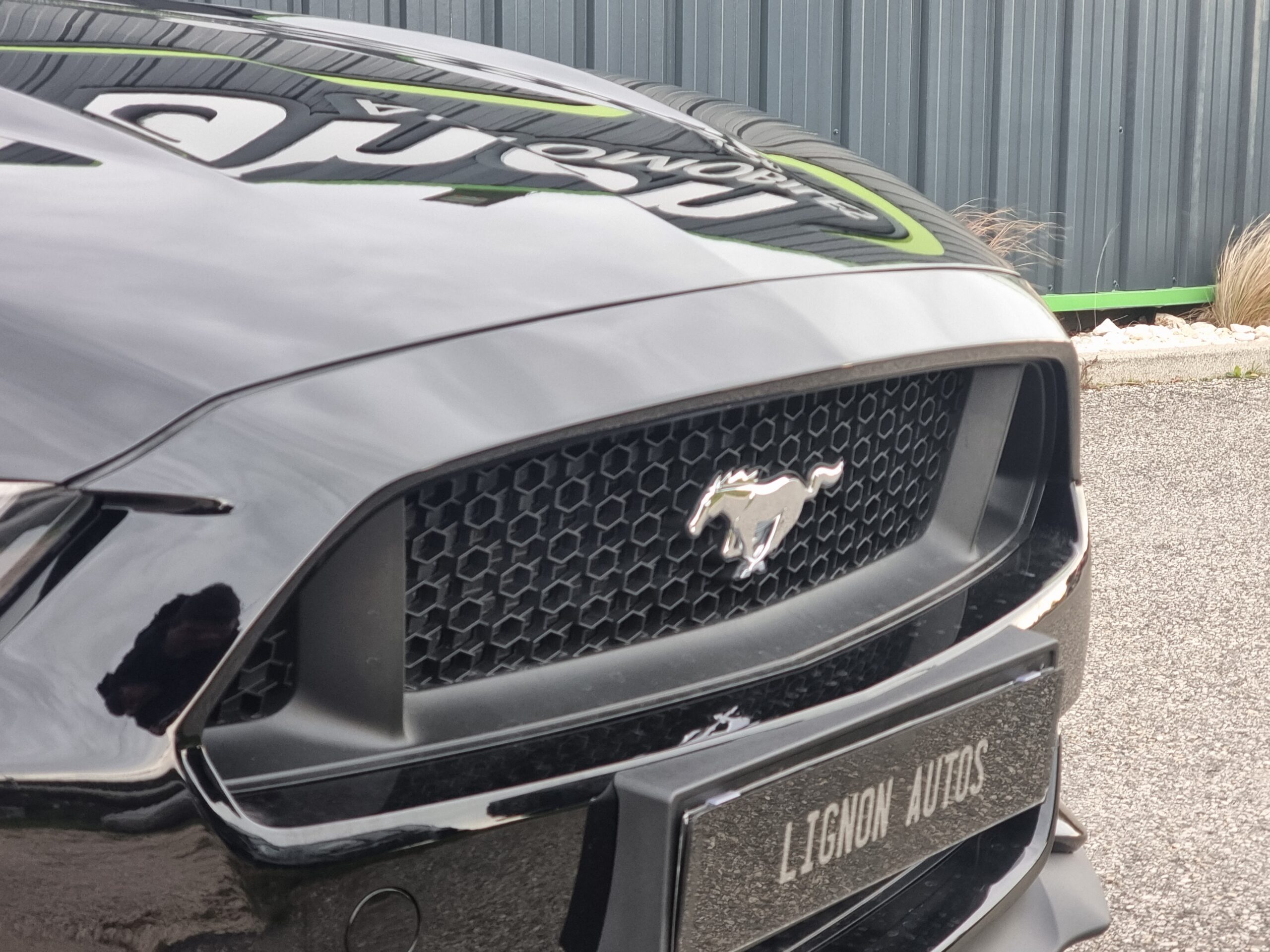 Photo FORD MUSTANG FASTBACK GT 5.0L V8 421 BVA PREMIUM