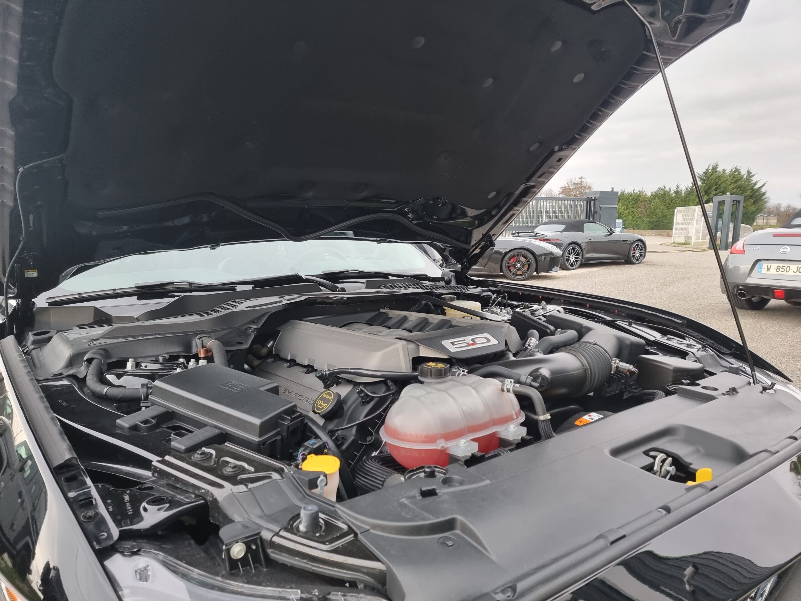 Photo FORD MUSTANG FASTBACK GT 5.0L V8 421 BVA PREMIUM