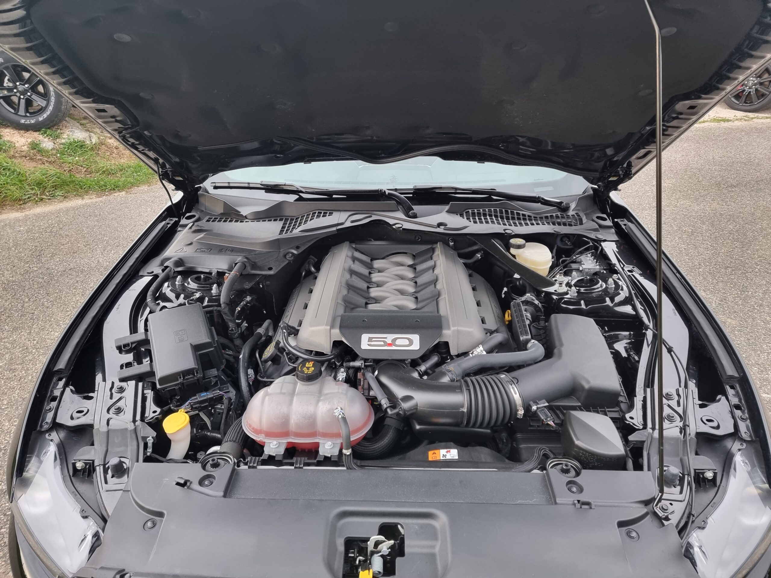 Photo FORD MUSTANG FASTBACK GT 5.0L V8 421 BVA PREMIUM