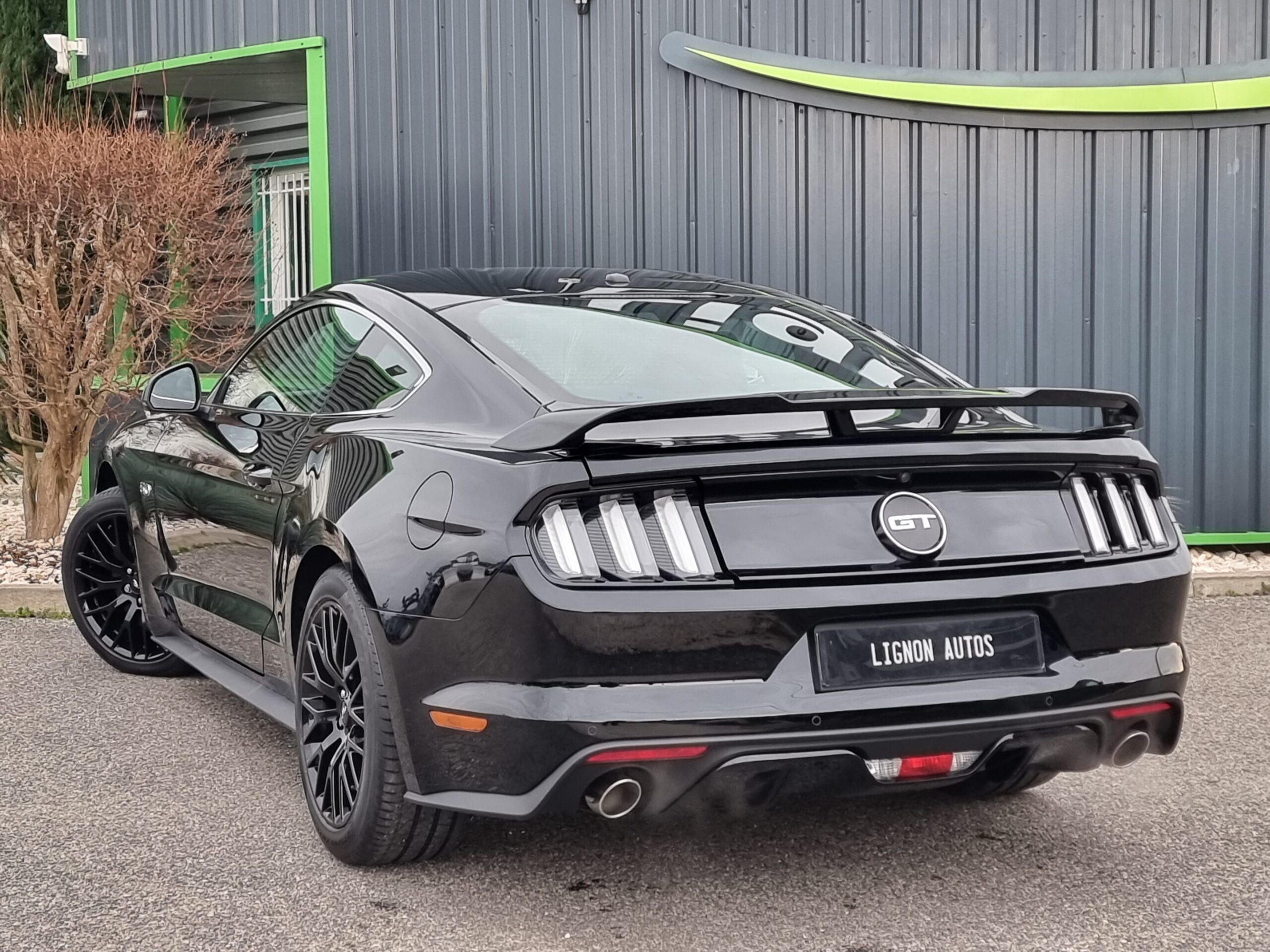 Photo FORD MUSTANG FASTBACK GT 5.0L V8 421 BVA PREMIUM