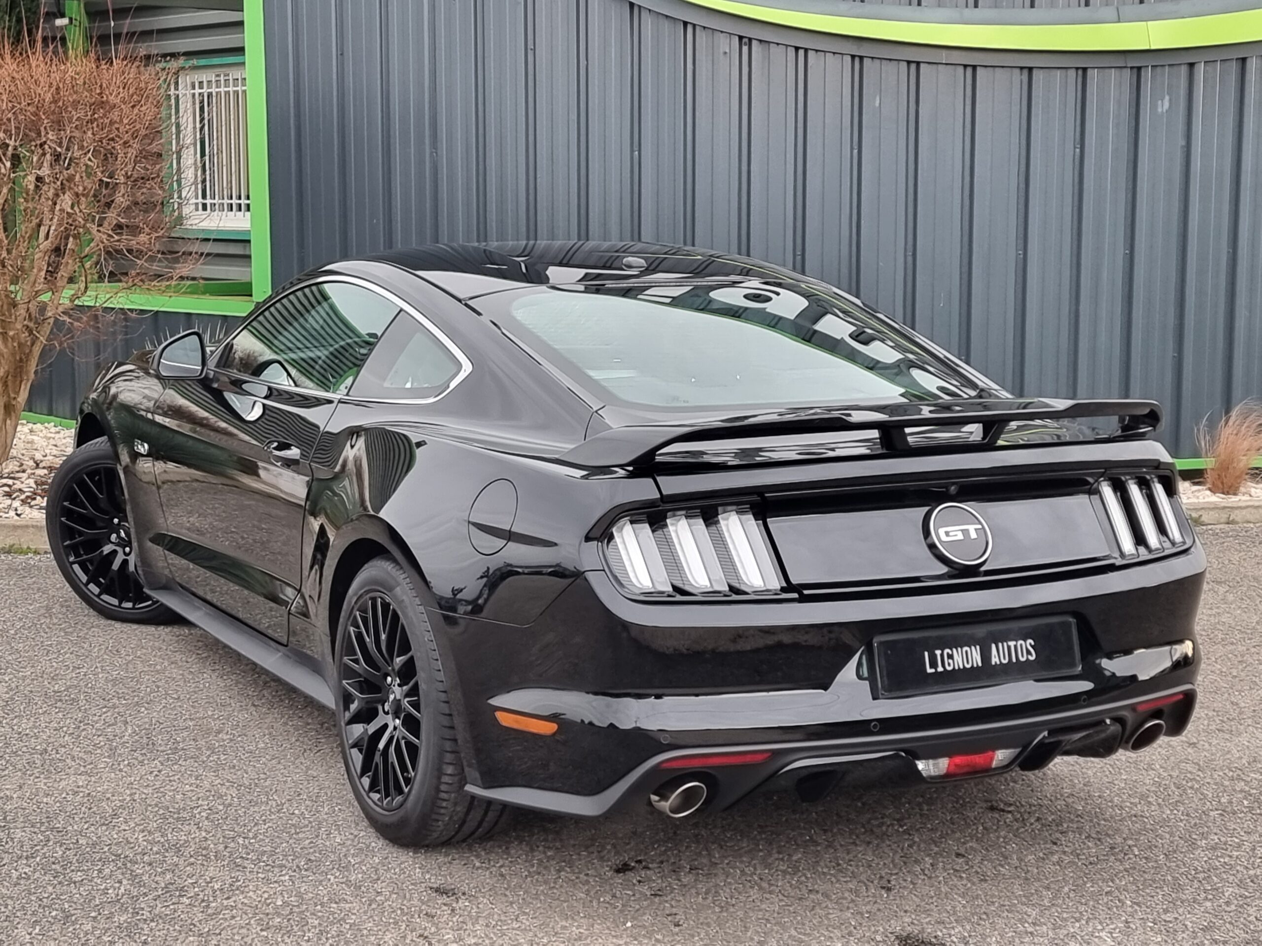 Photo FORD MUSTANG FASTBACK GT 5.0L V8 421 BVA PREMIUM