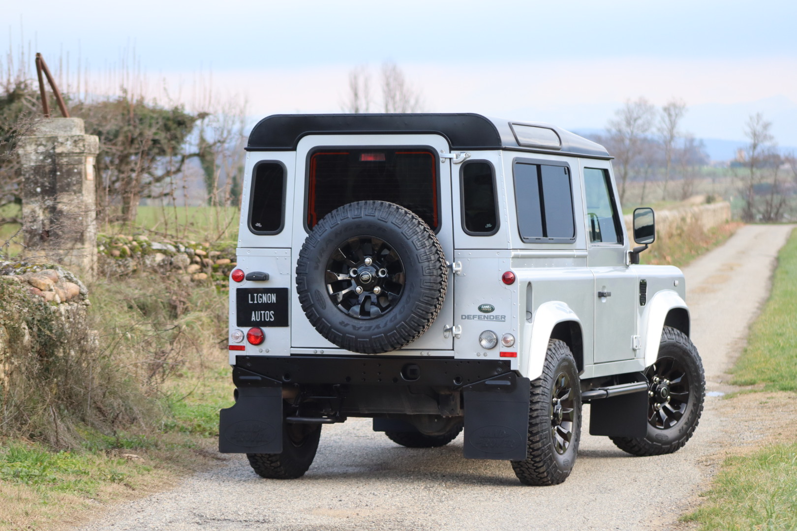 Photo LAND ROVER DEFENDER 90 TD4 2.2 SW 4 PLACES