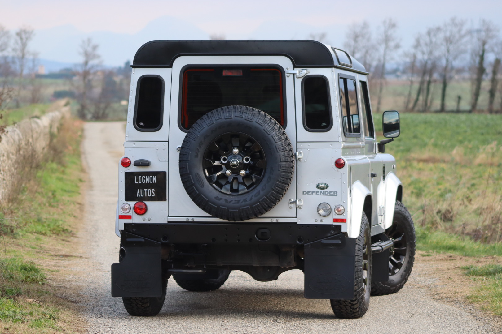 Photo LAND ROVER DEFENDER 90 TD4 2.2 SW 4 PLACES