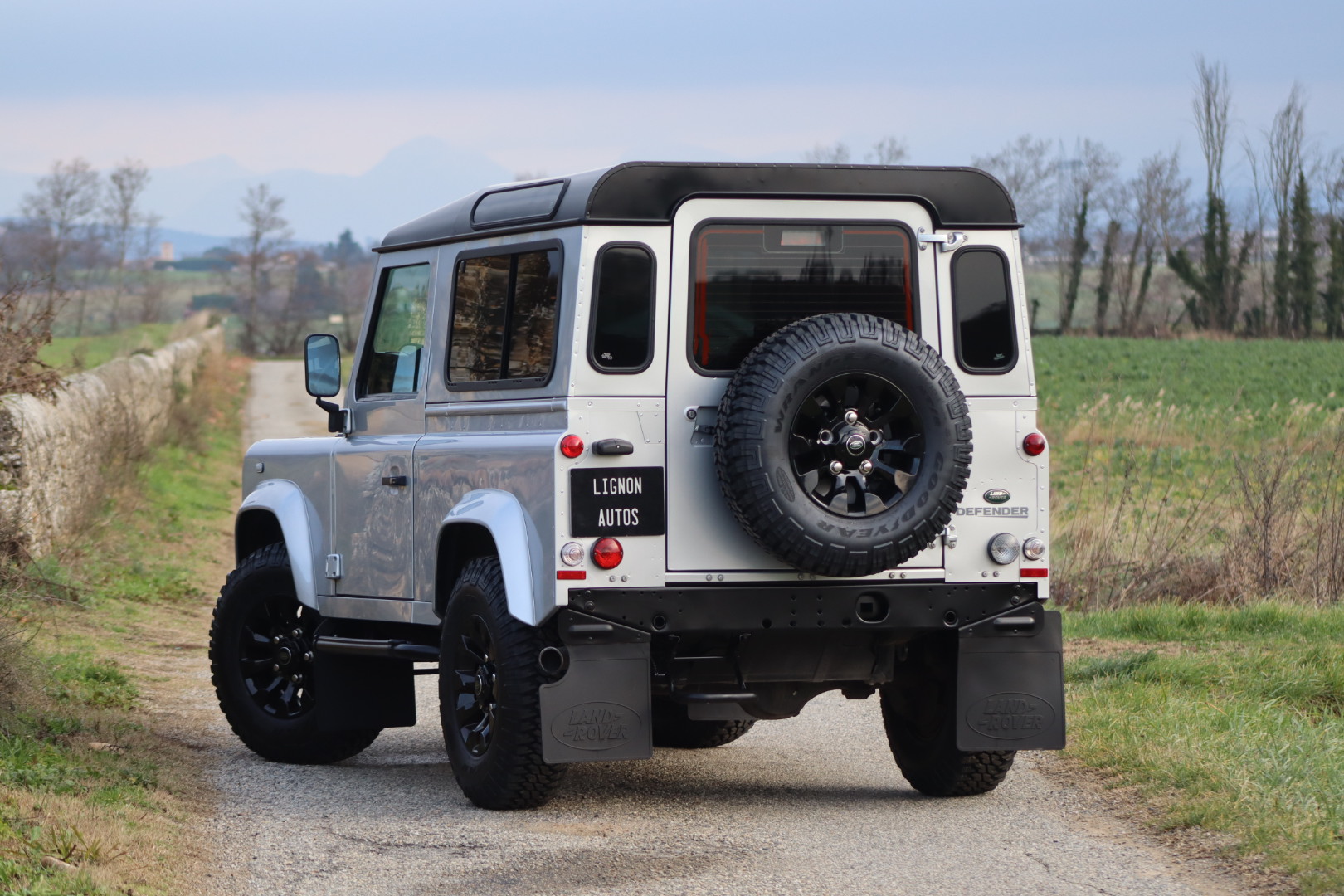 Photo LAND ROVER DEFENDER 90 TD4 2.2 SW 4 PLACES