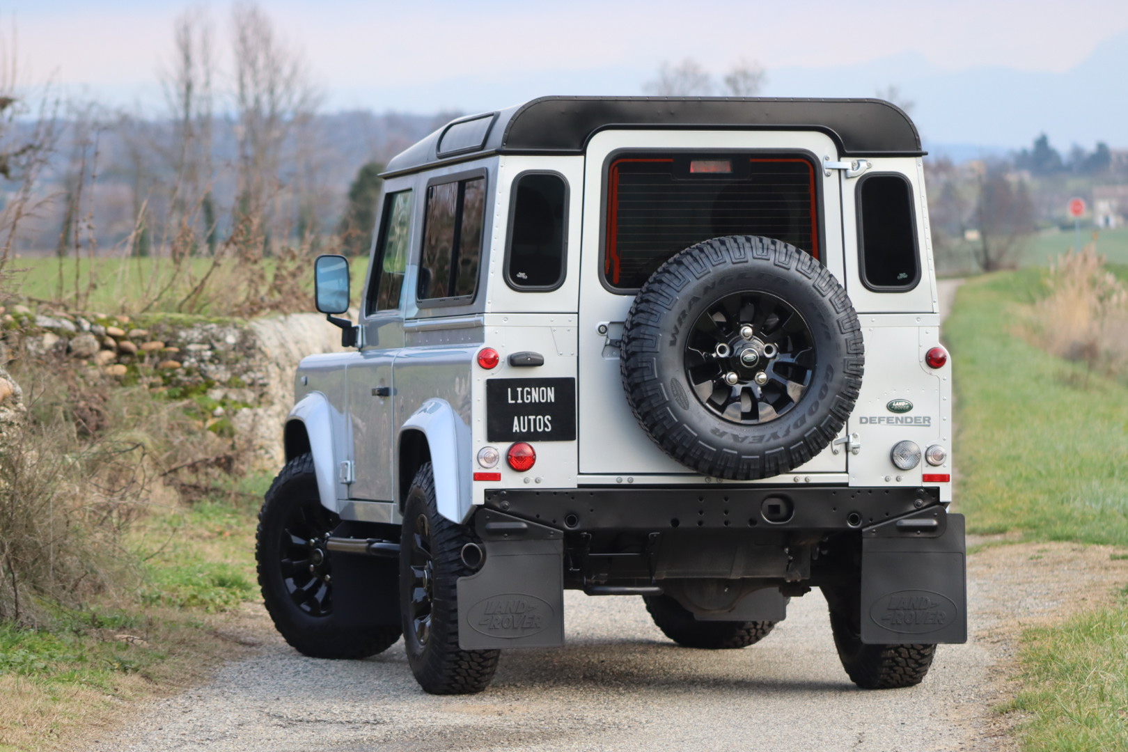 Photo LAND ROVER DEFENDER 90 TD4 2.2 SW 4 PLACES