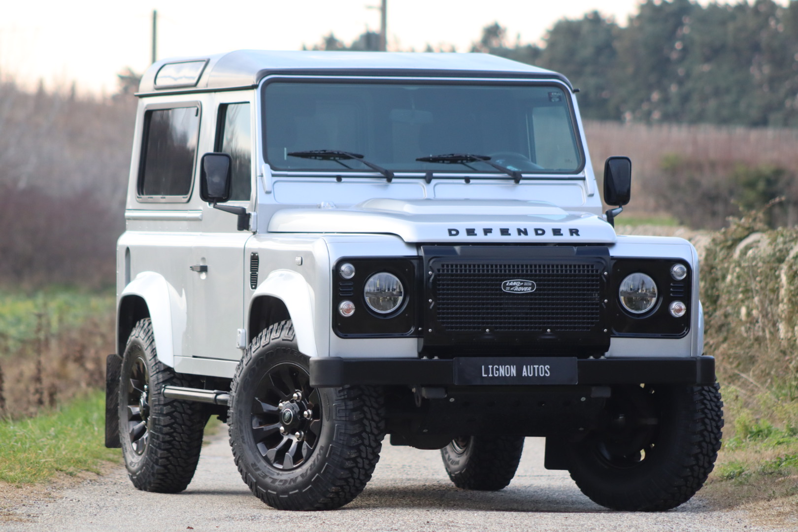 Photo LAND ROVER DEFENDER 90 TD4 2.2 SW 4 PLACES