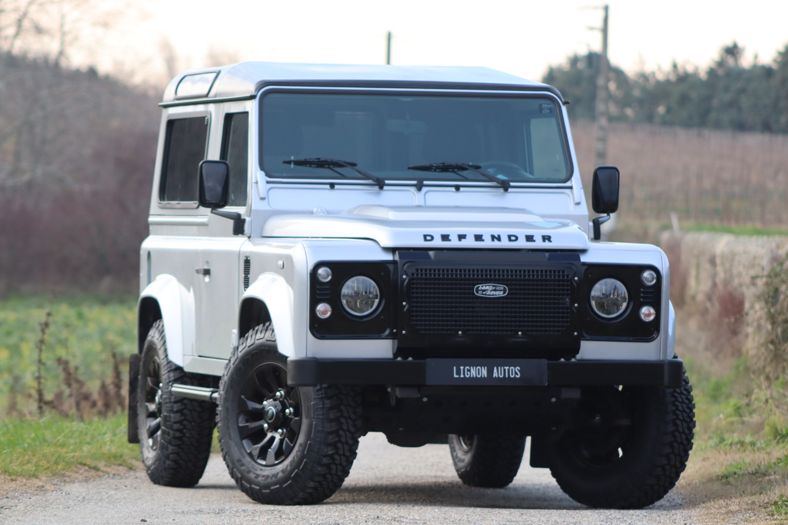 Photo LAND ROVER DEFENDER 90 TD4 2.2 SW 4 PLACES
