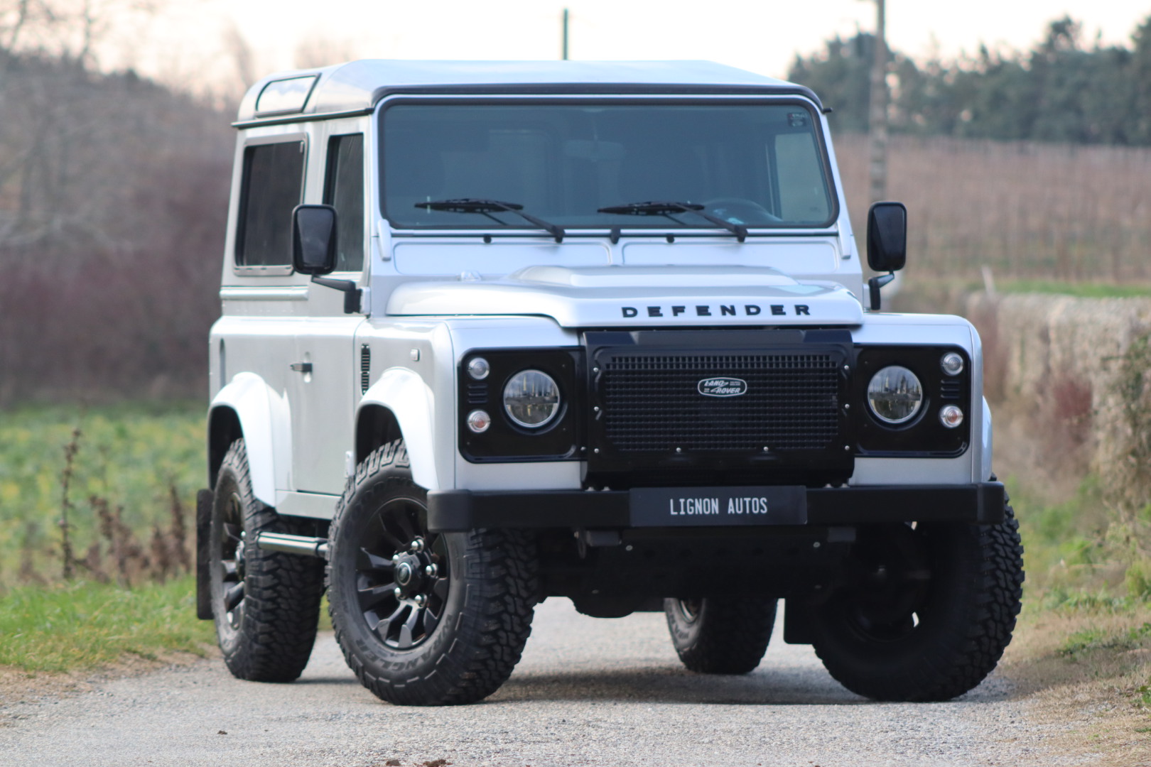 Photo LAND ROVER DEFENDER 90 TD4 2.2 SW 4 PLACES