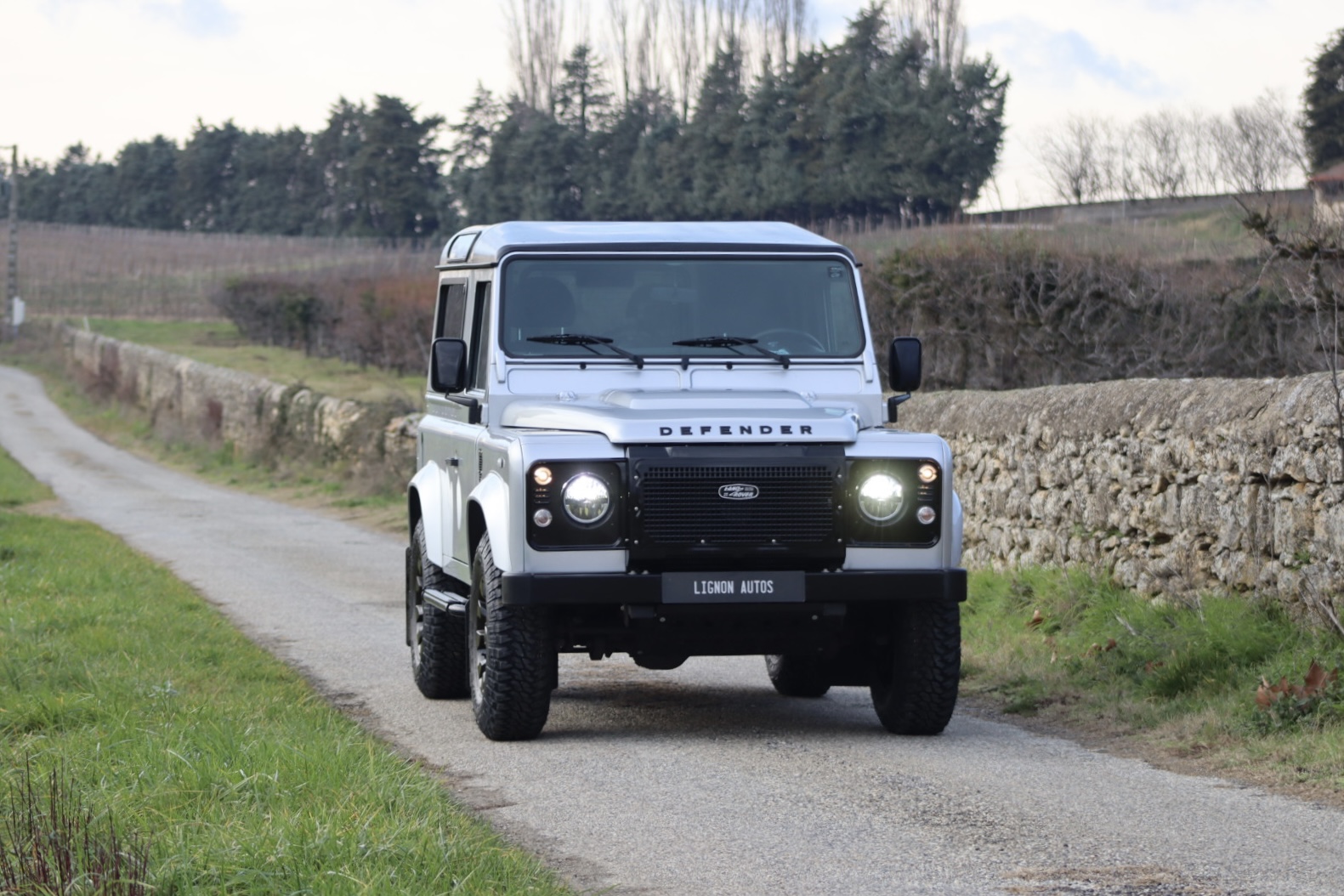 Photo LAND ROVER DEFENDER 90 TD4 2.2 SW 4 PLACES