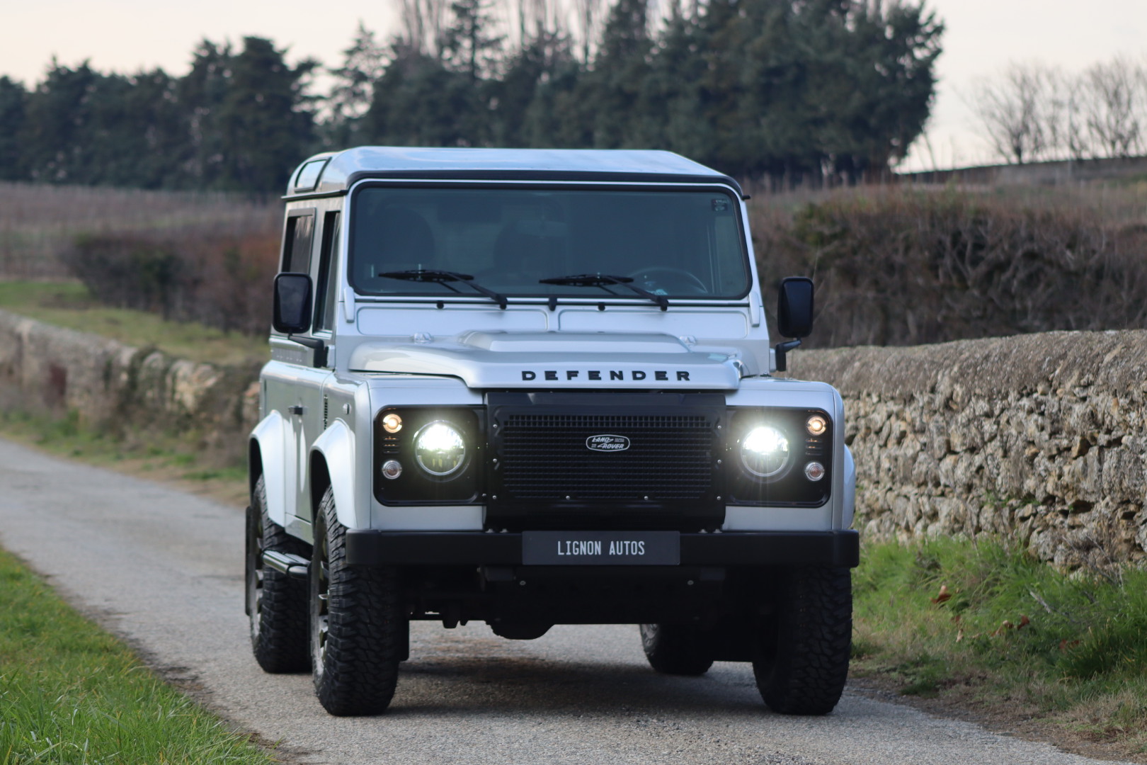 Photo LAND ROVER DEFENDER 90 TD4 2.2 SW 4 PLACES