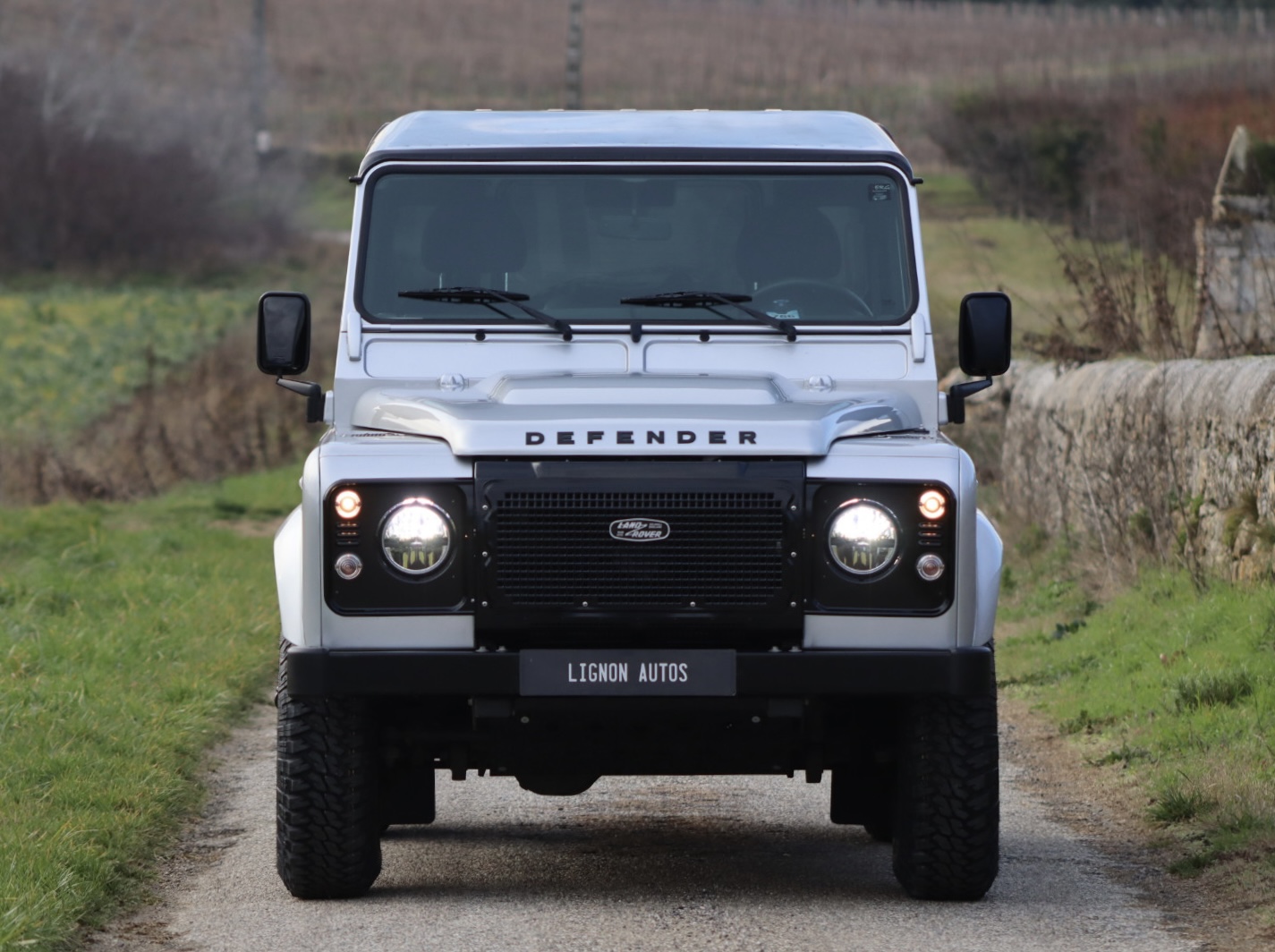 Photo LAND ROVER DEFENDER 90 TD4 2.2 SW 4 PLACES