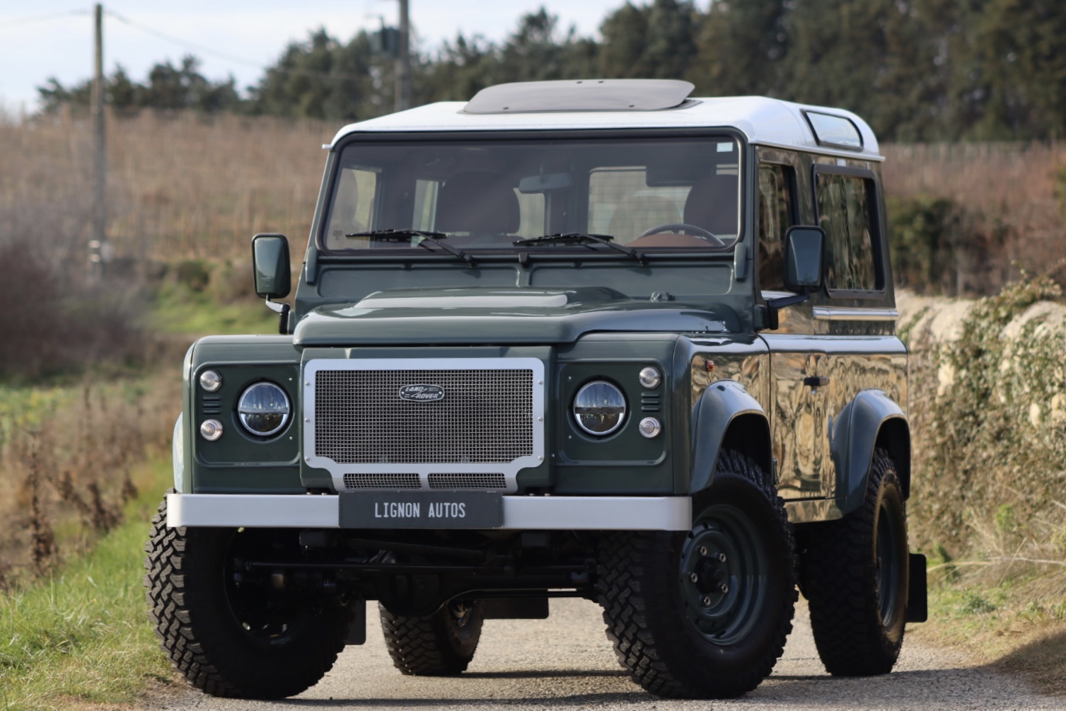 Photo LAND ROVER DEFENDER TD4 2.4 SW 4 PLACES