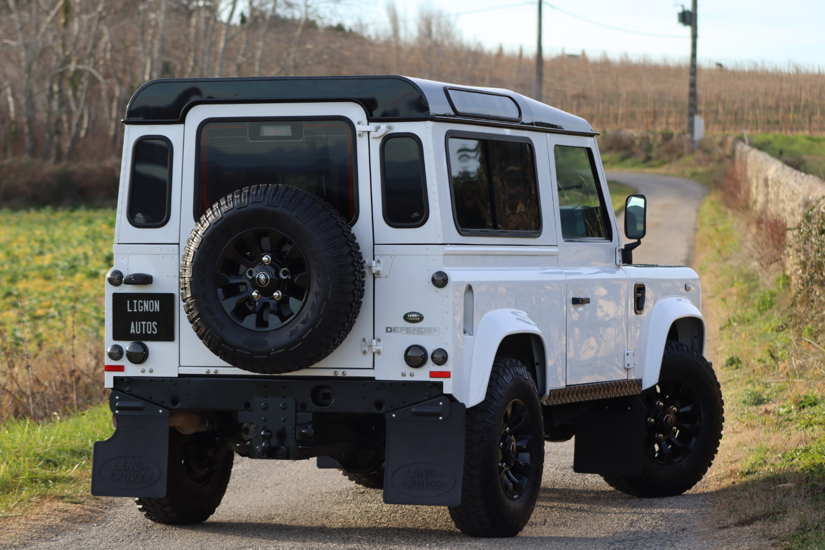 Photo LAND ROVER DEFENDER 90 TD4 2.2L SW 4 PLACES