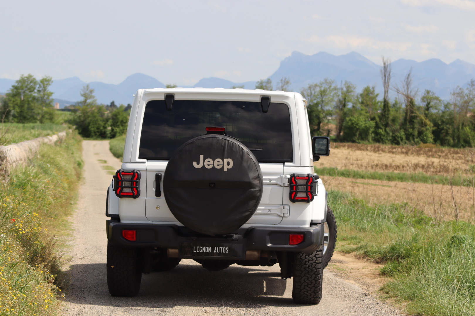 Photo Jeep Wrangler JL 2.0 T 272CH Unlimited Sahara BVA8