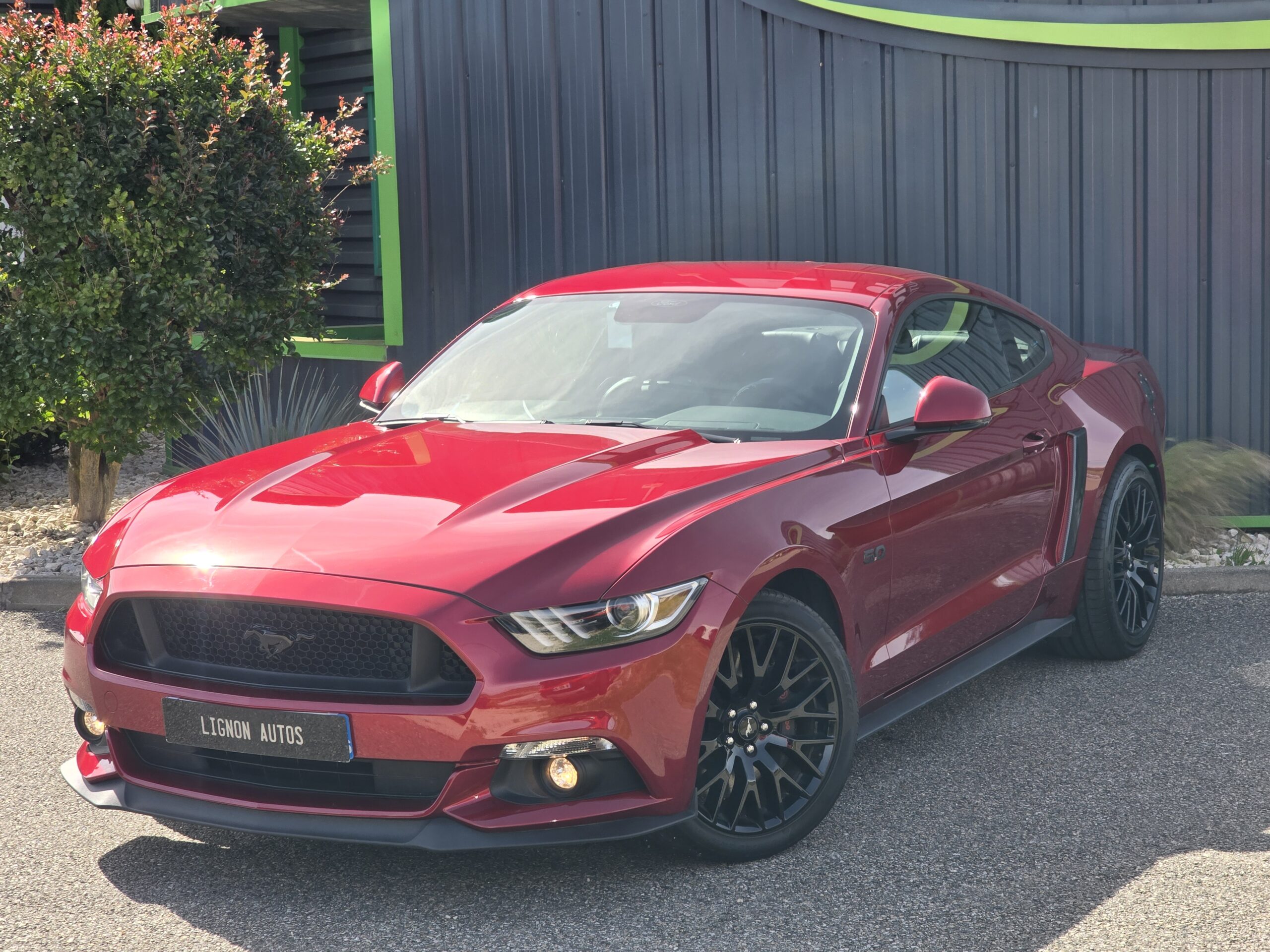 Photo Ford Mustang Fastback GT 5.0l V8 421 Premium