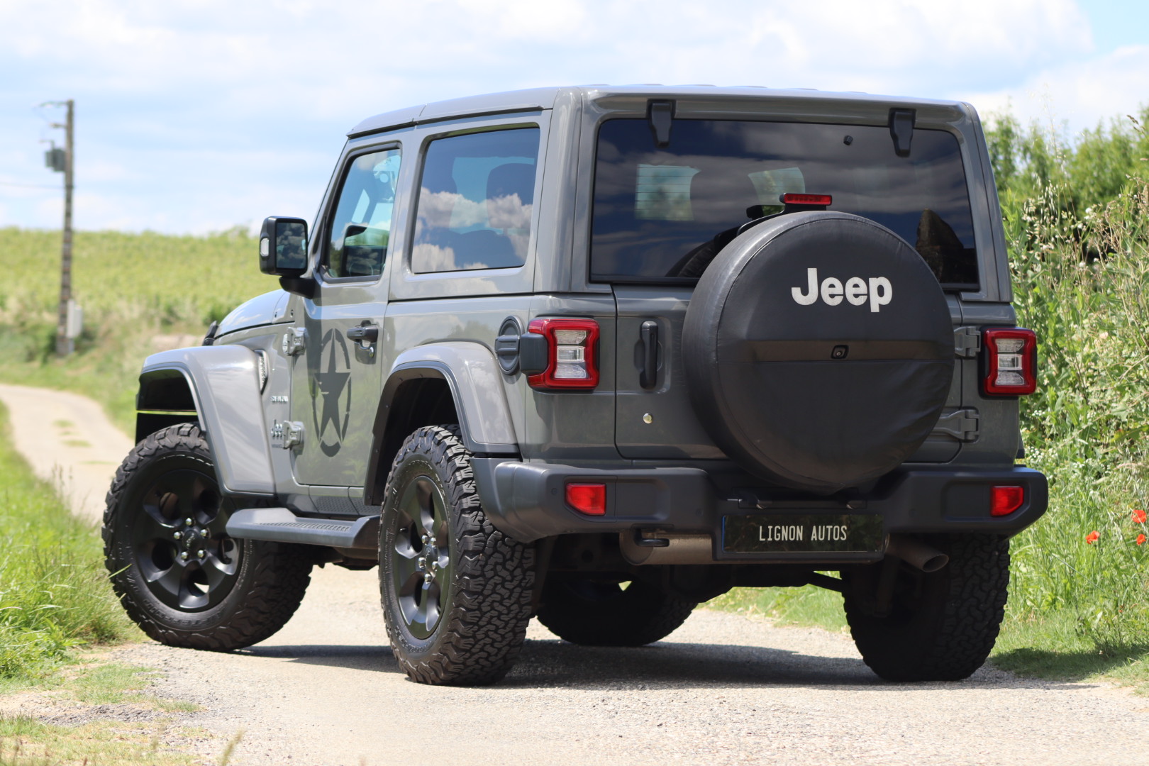 Photo Jeep Wrangler Sahara 2.0L T 272ch 4x4 BVA8 Full Leds