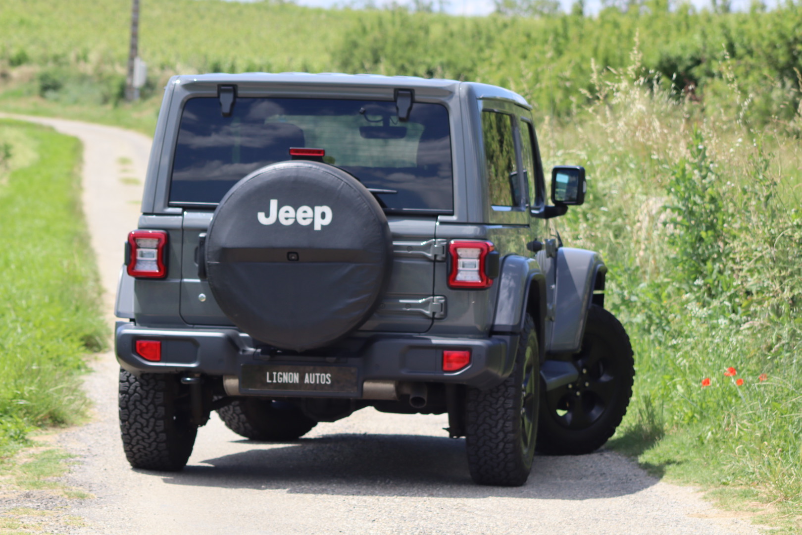 Photo Jeep Wrangler Sahara 2.0L T 272ch 4x4 BVA8 Full Leds