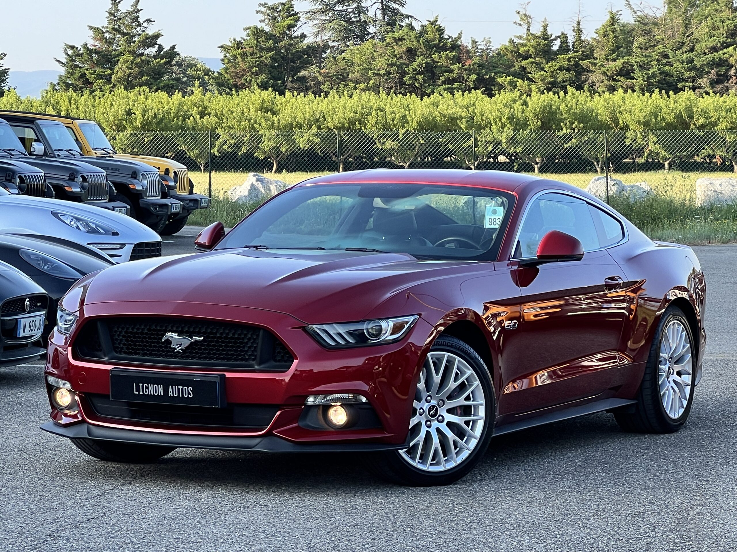 Photo Ford Mustang Fastback GT 5.0l V8 421 Premium