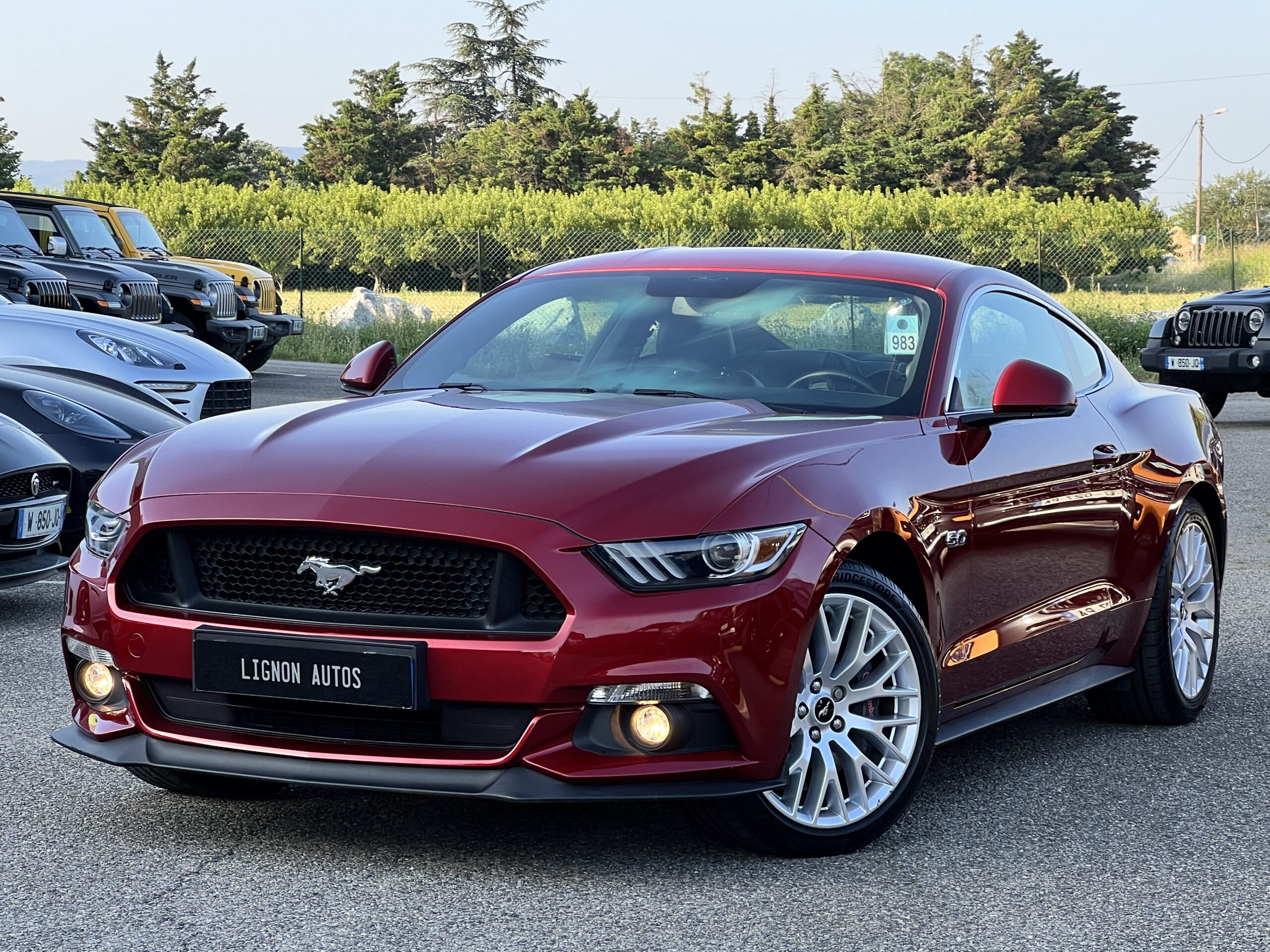 Photo Ford Mustang Fastback GT 5.0l V8 421 Premium