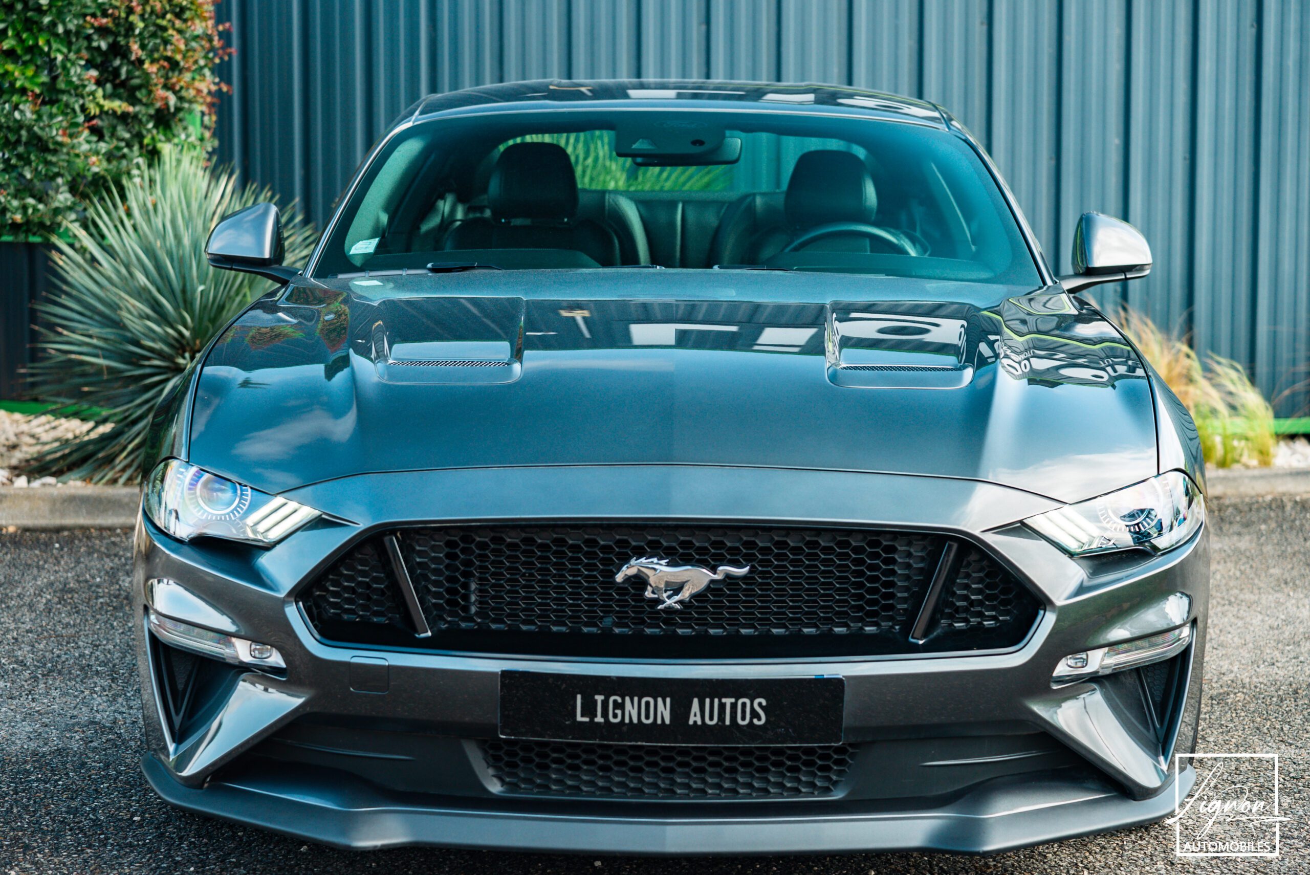 Photo Ford Mustang 5.0 V8 Fastback Gt 450 ch Bva10 Premium - Garantie 2026