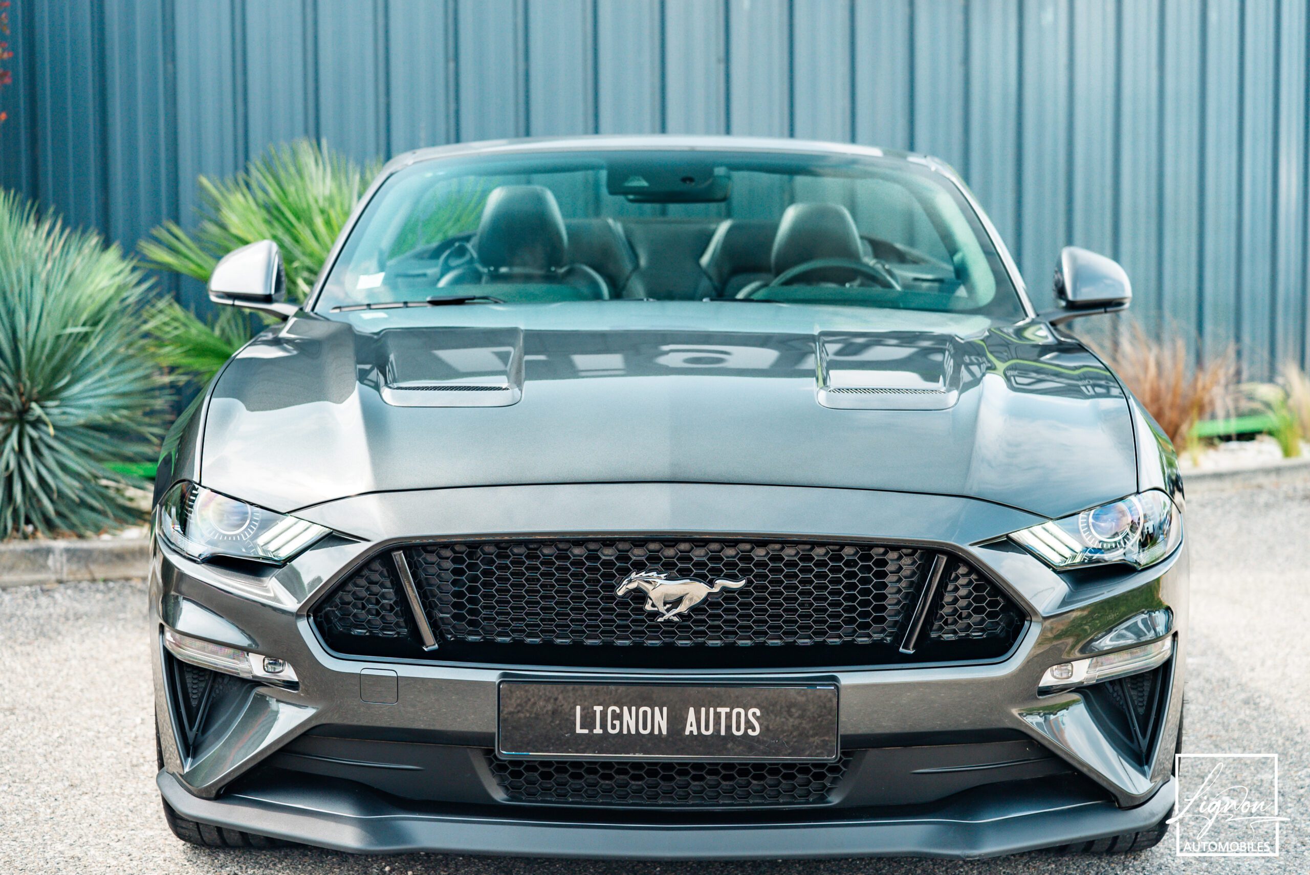 Photo Ford Mustang Cabriolet Gt 5.0l V8 450 Bva10 Premium