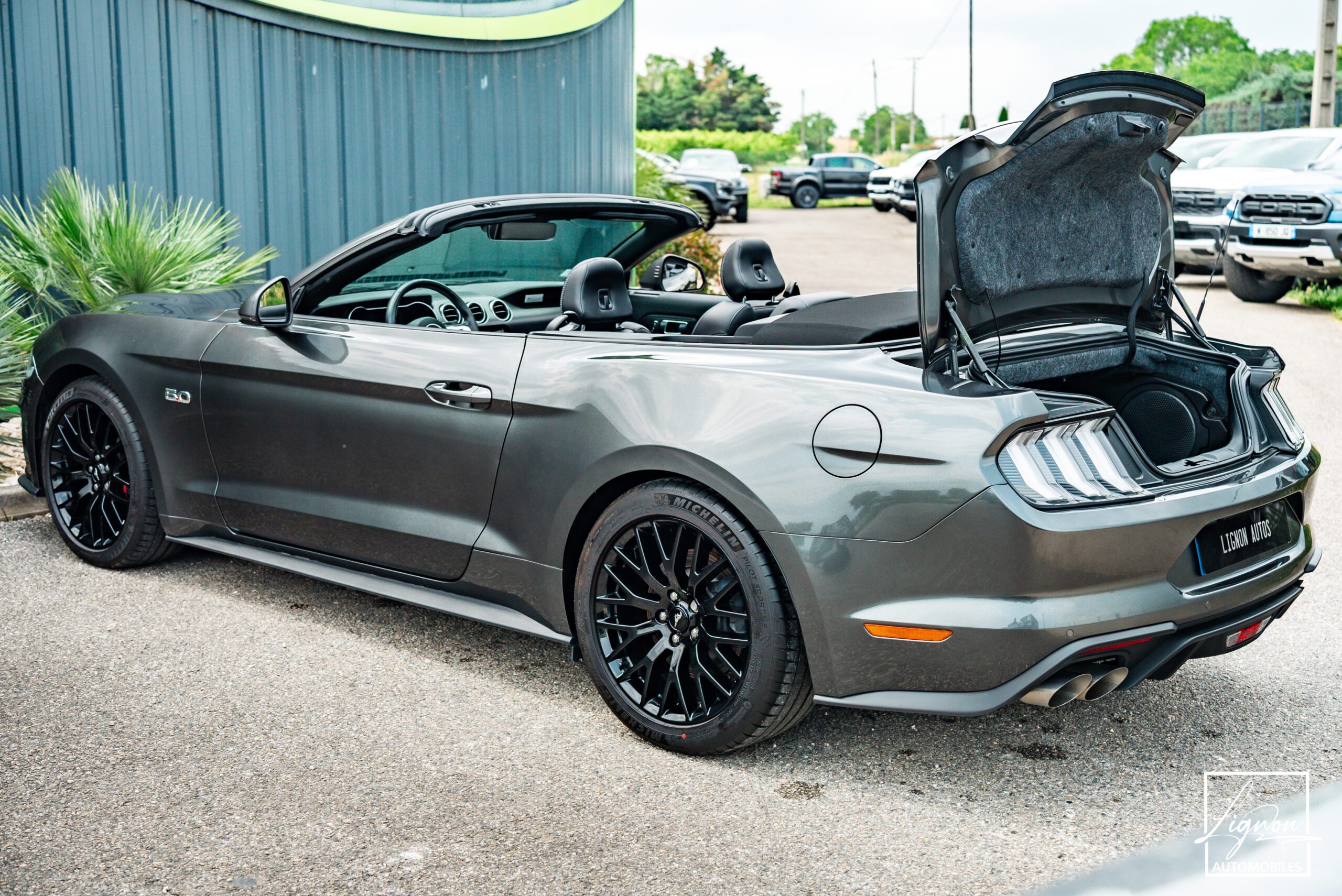 Photo Ford Mustang Cabriolet Gt 5.0l V8 450 Bva10 Premium